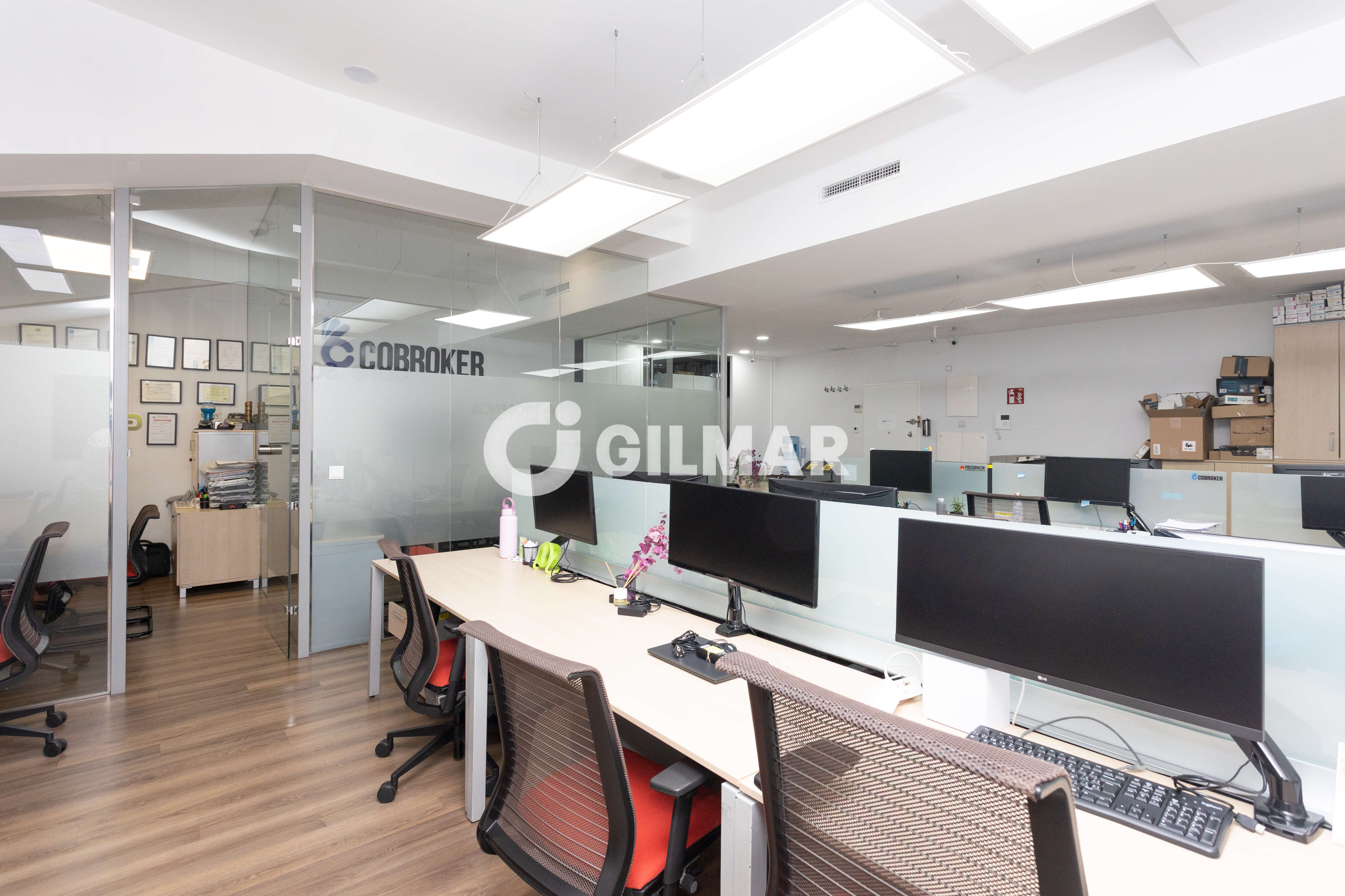 acp galery