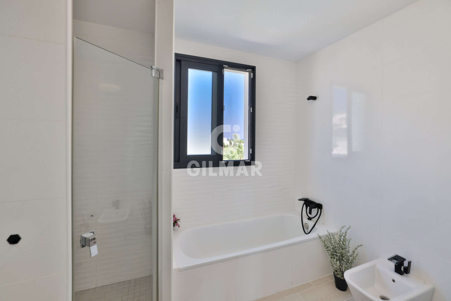 Photo of Penthouse