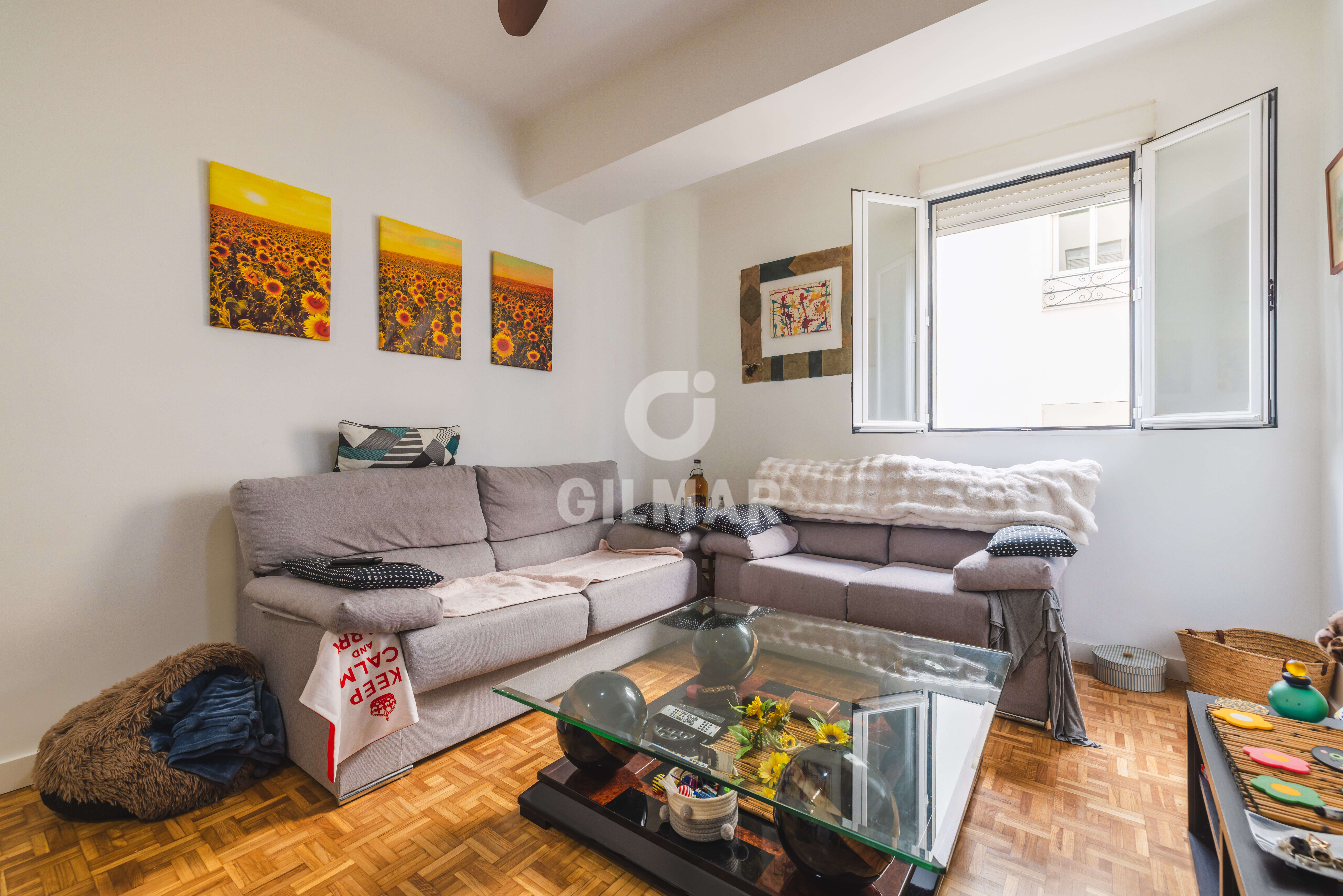 Photo of Apartment