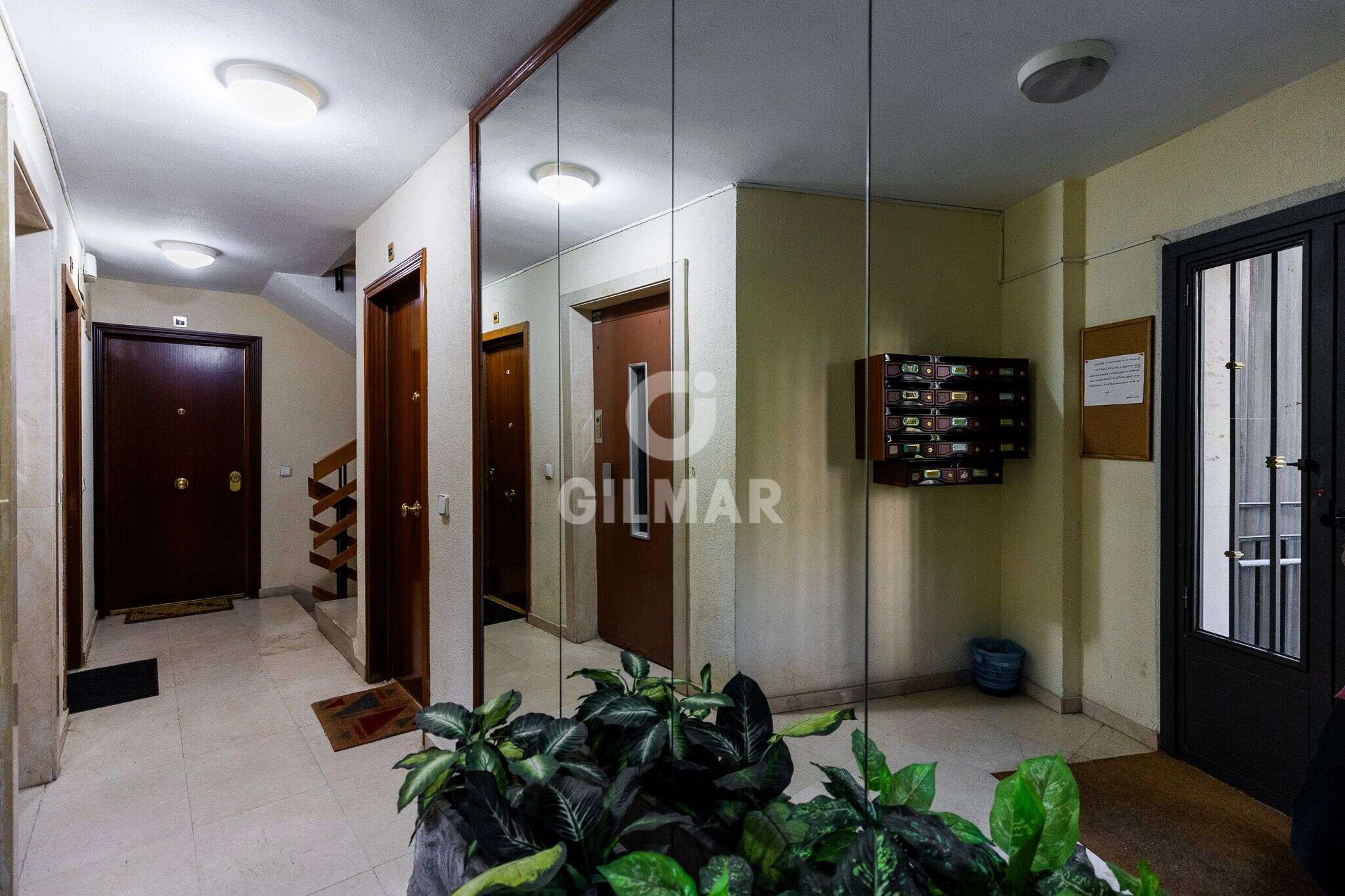 acp galery