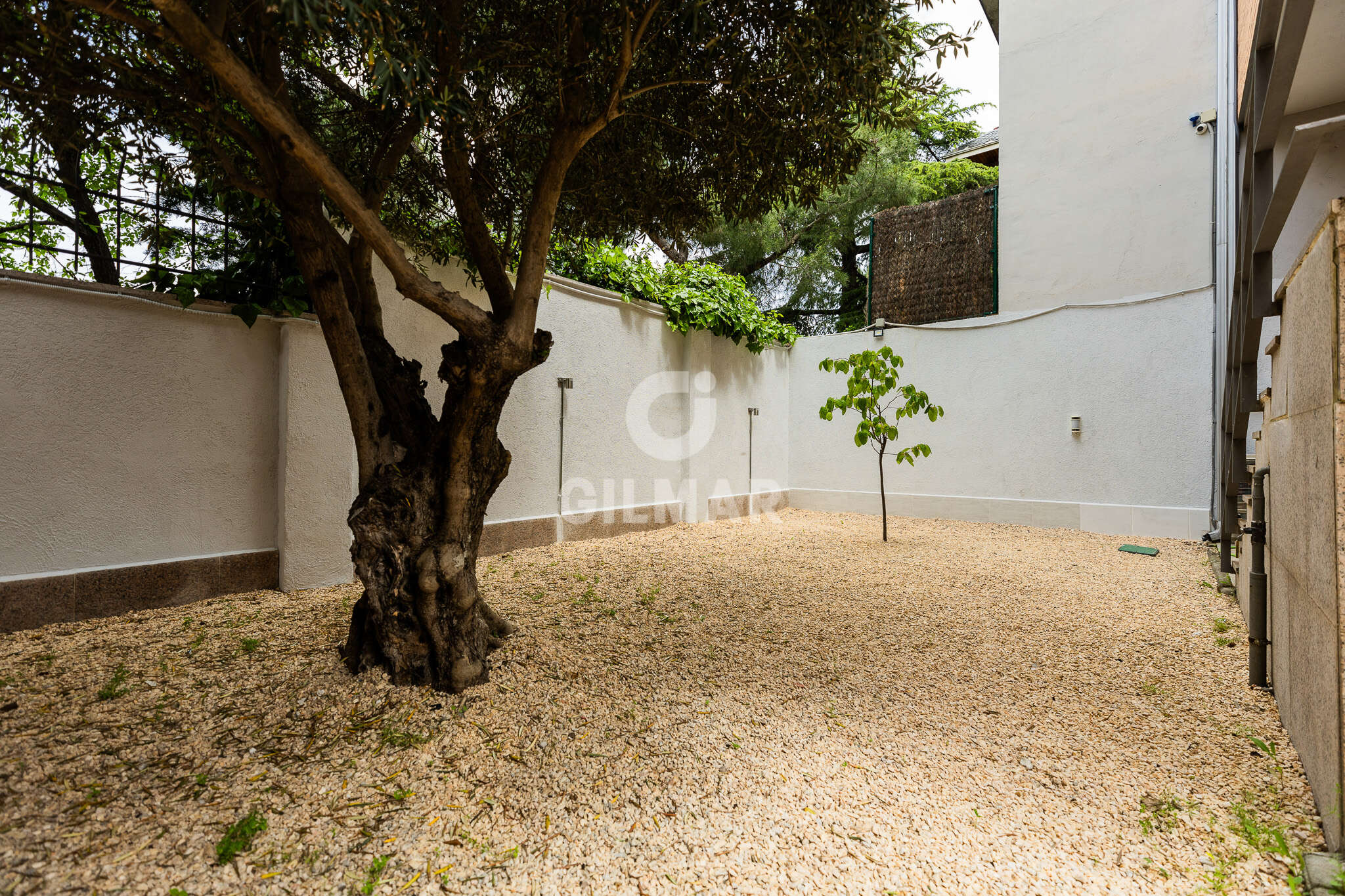 acp galery