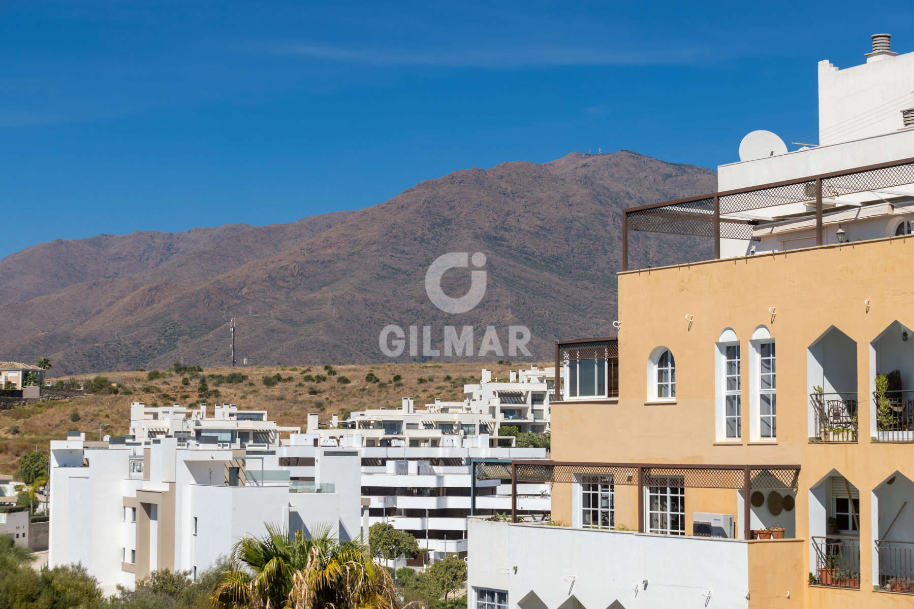 Photo of Apartment