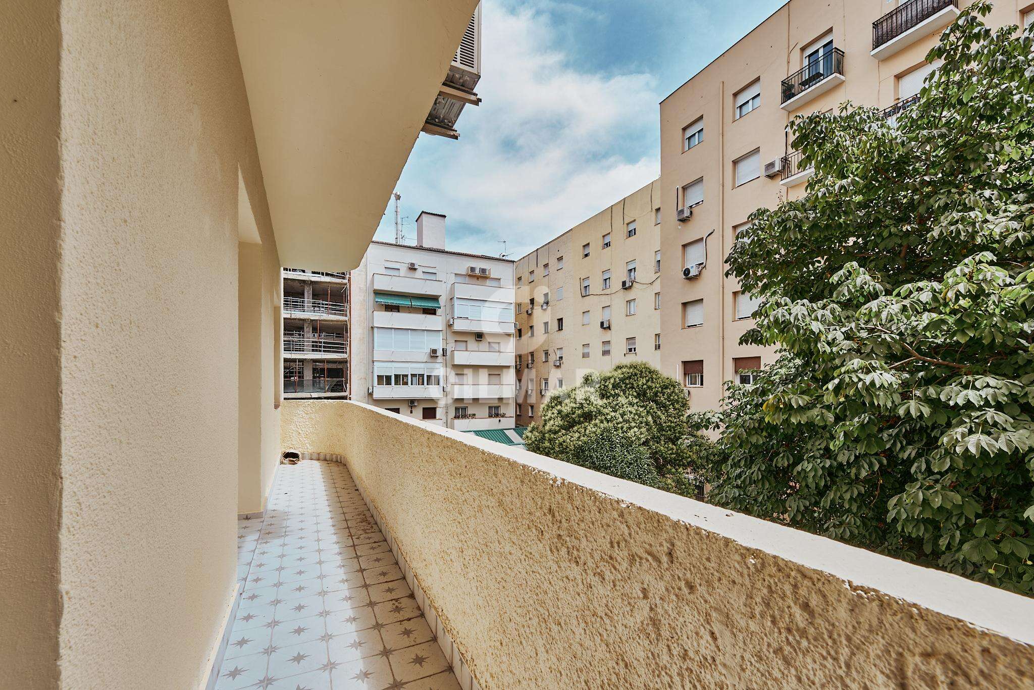 Photo of Apartment