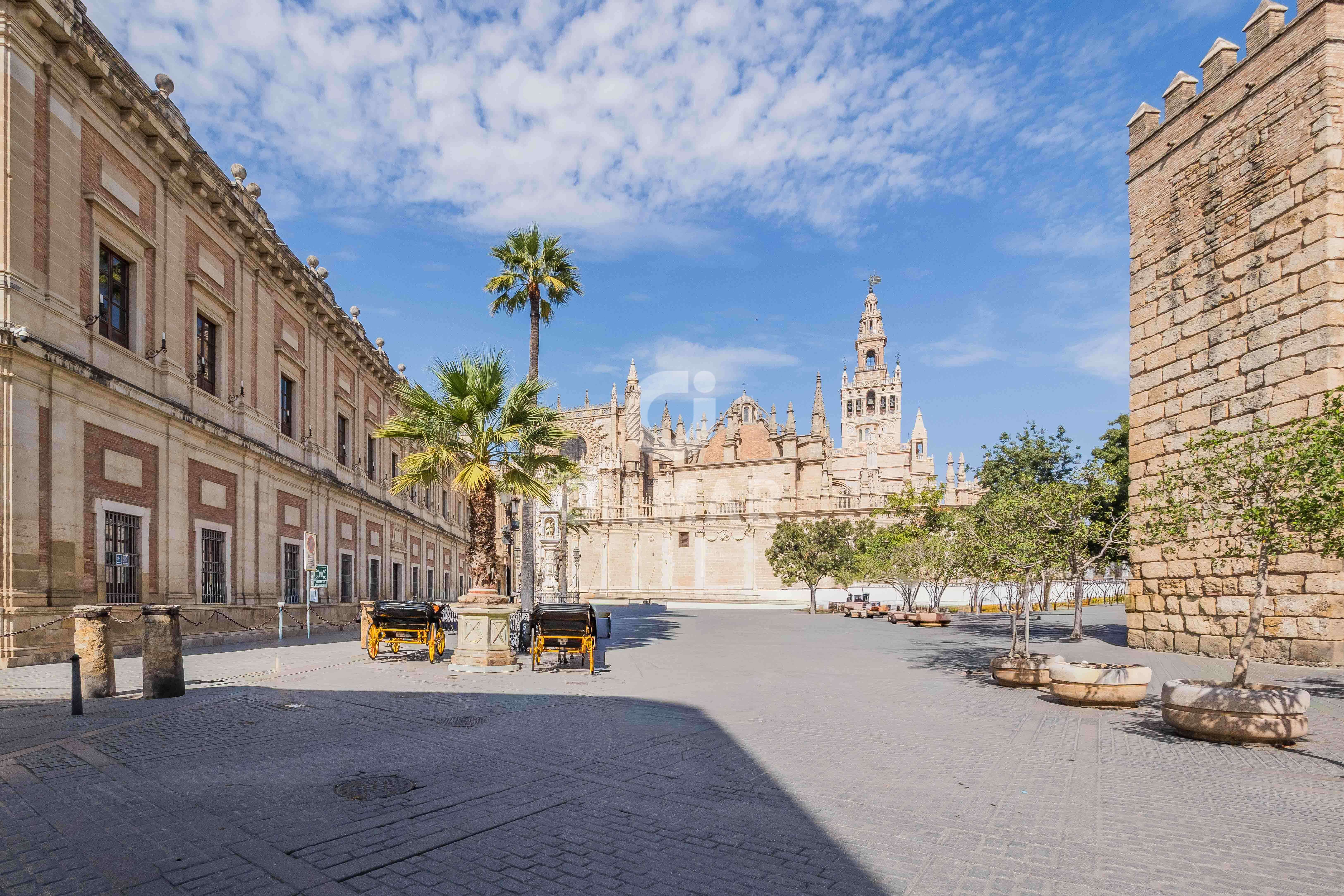 Piso · 155 m² · 3 dorm