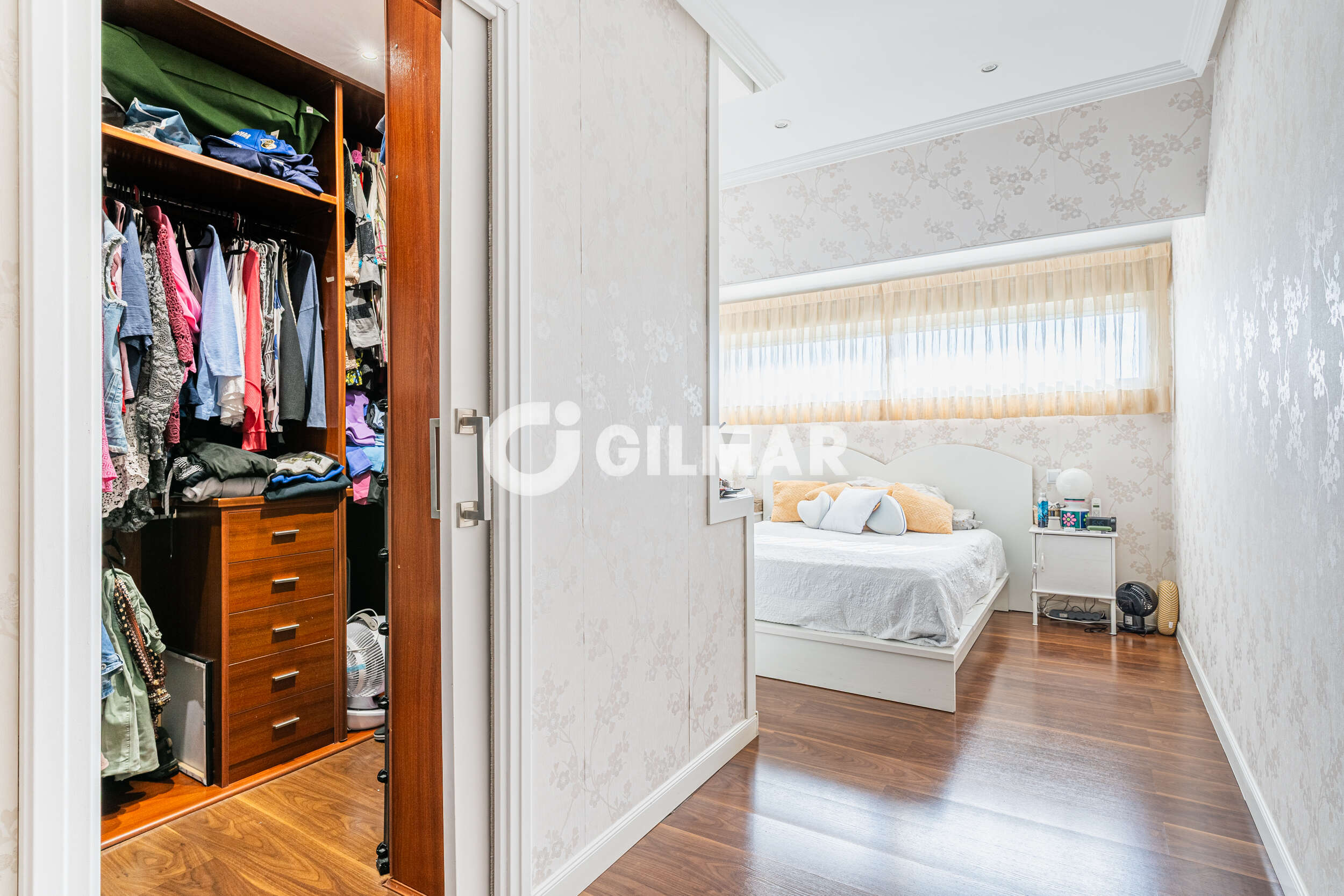 acp galery
