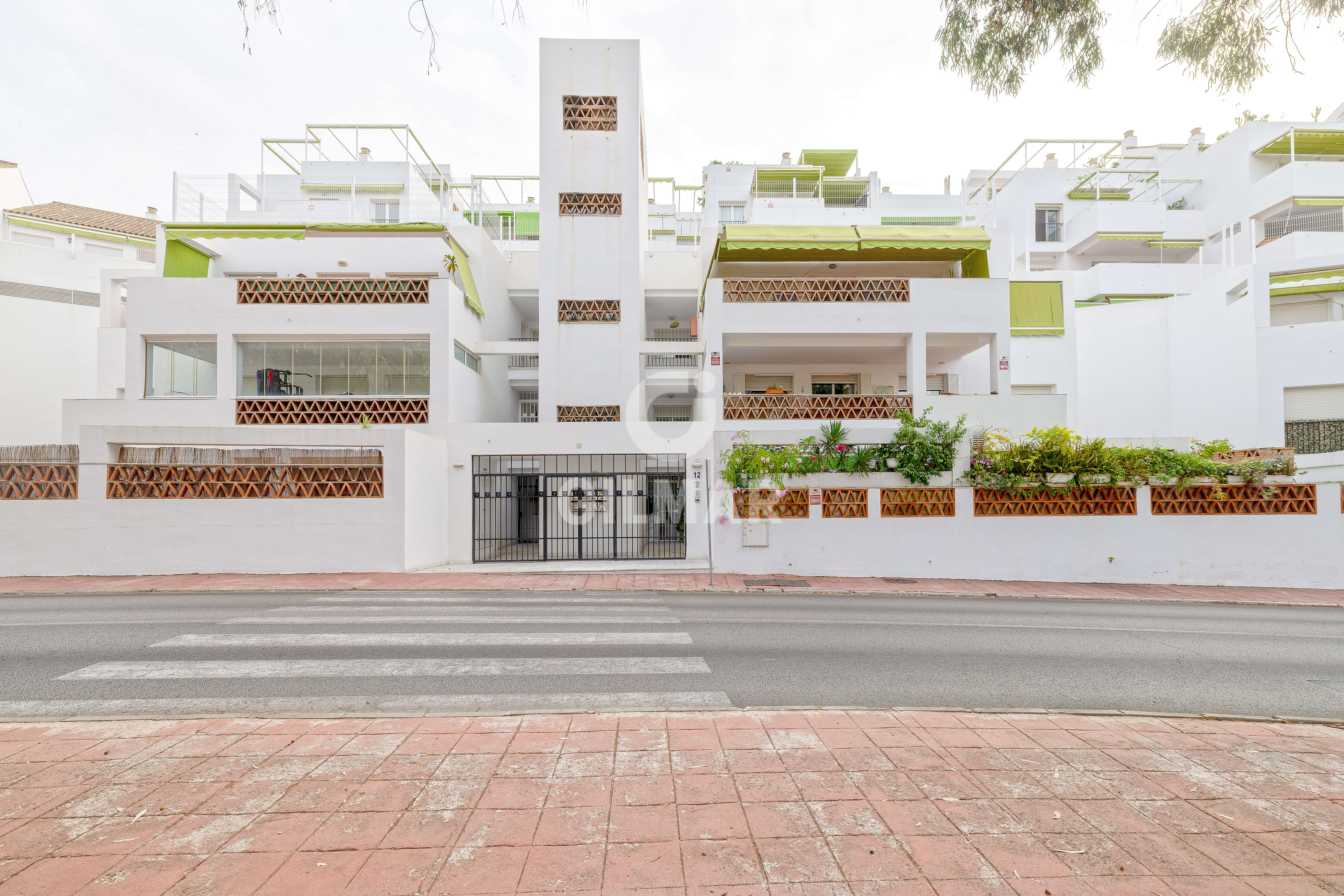 acp galery