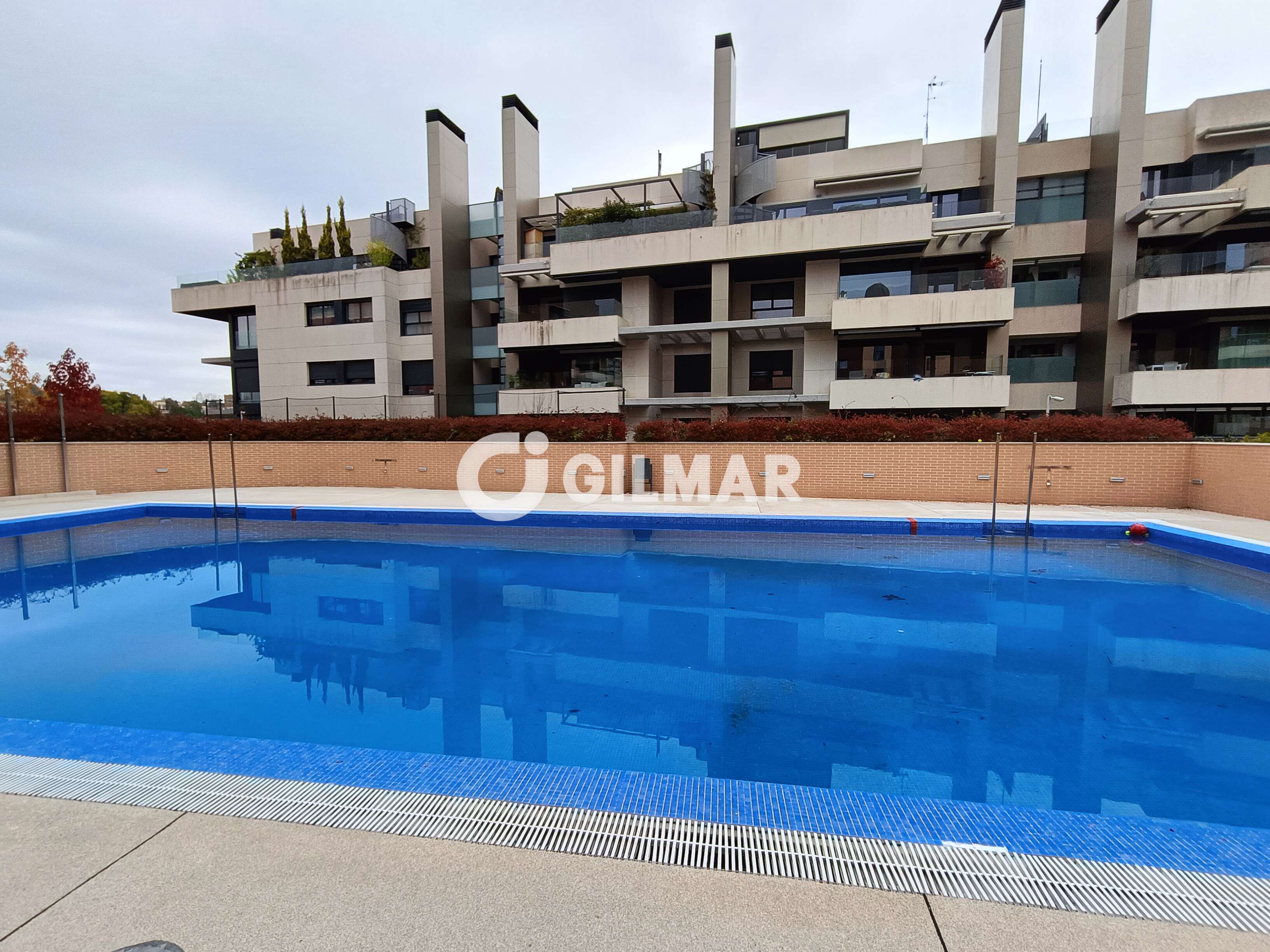acp galery