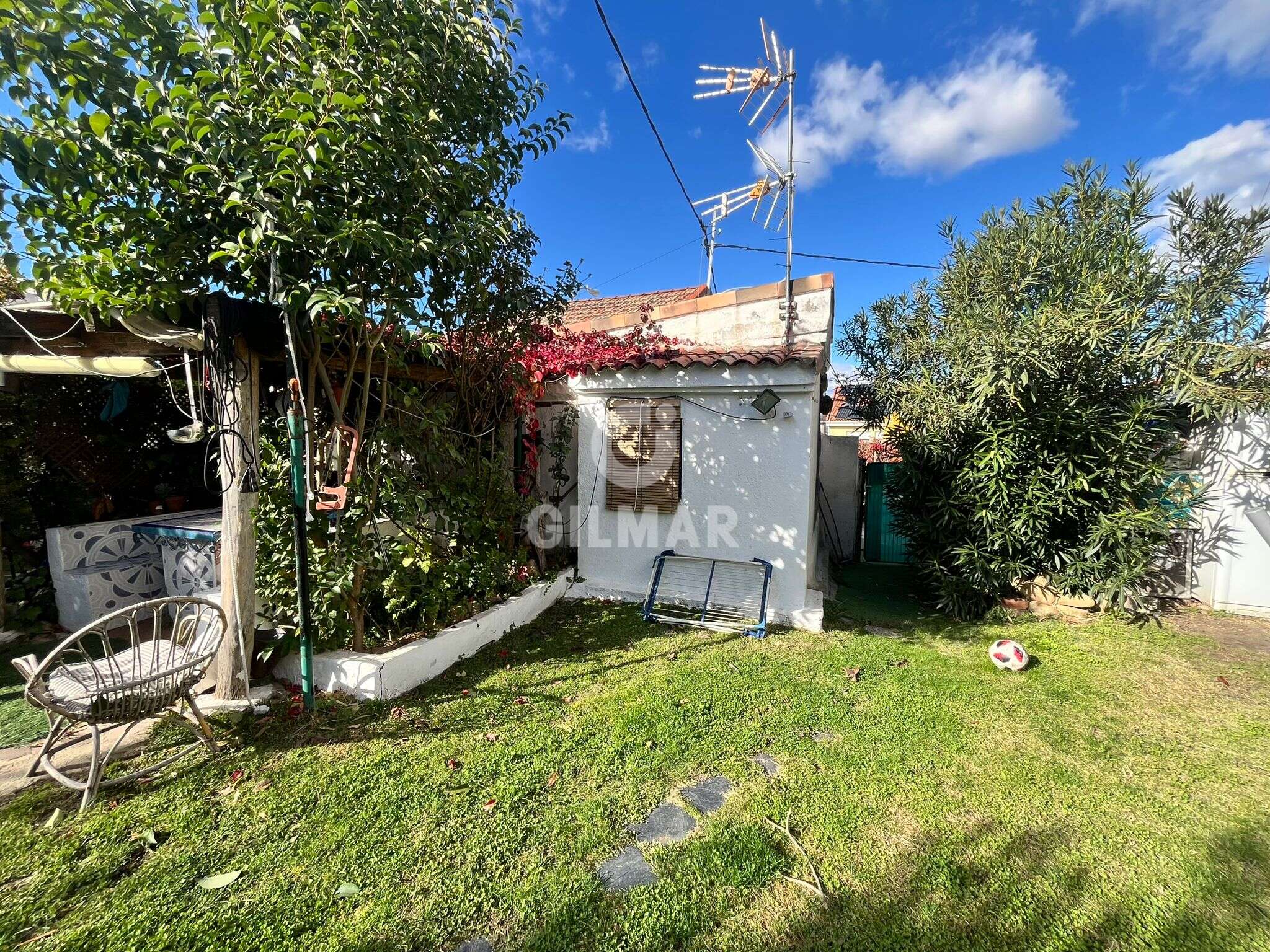 Photo of Urban plot