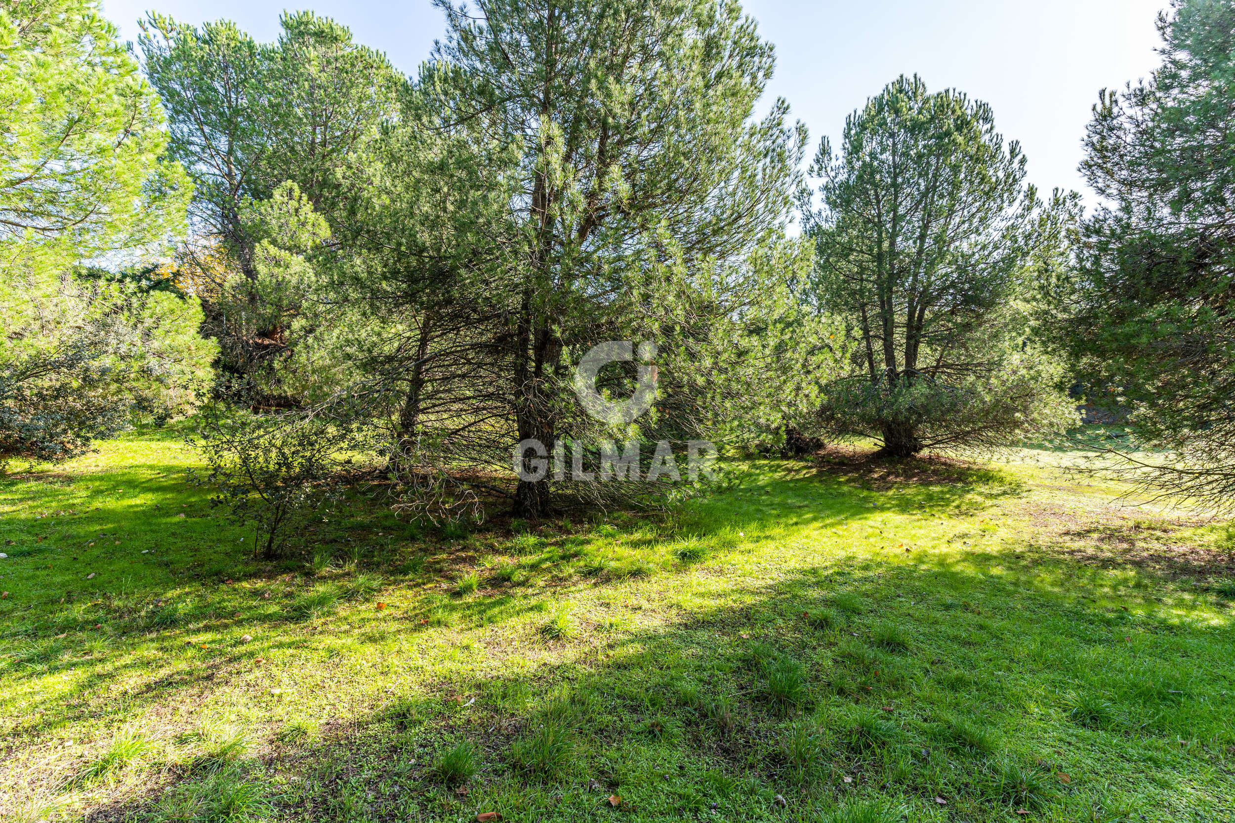 Photo of Villa