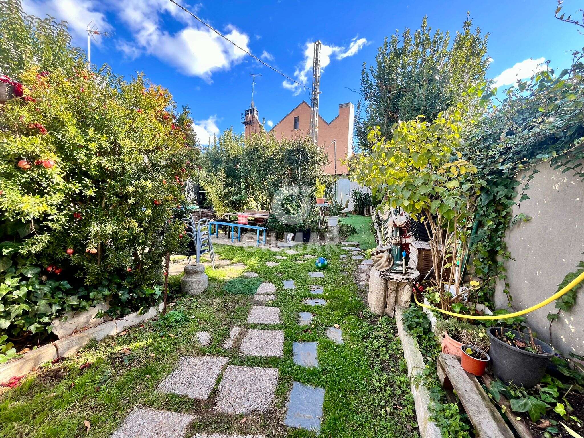 Photo of Urban plot