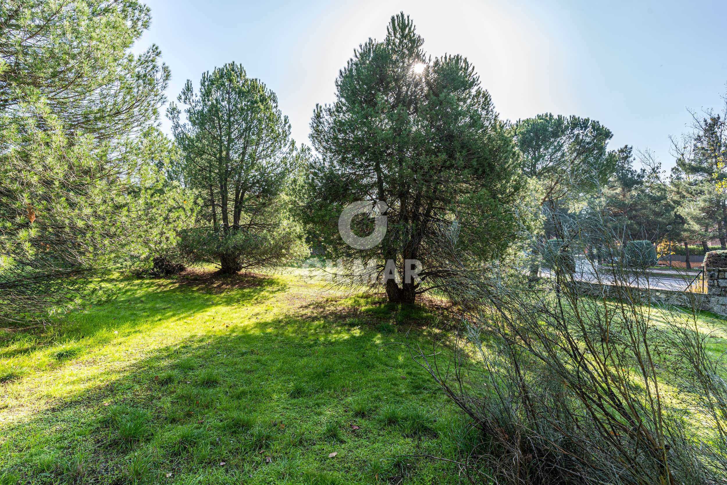 Photo of Villa