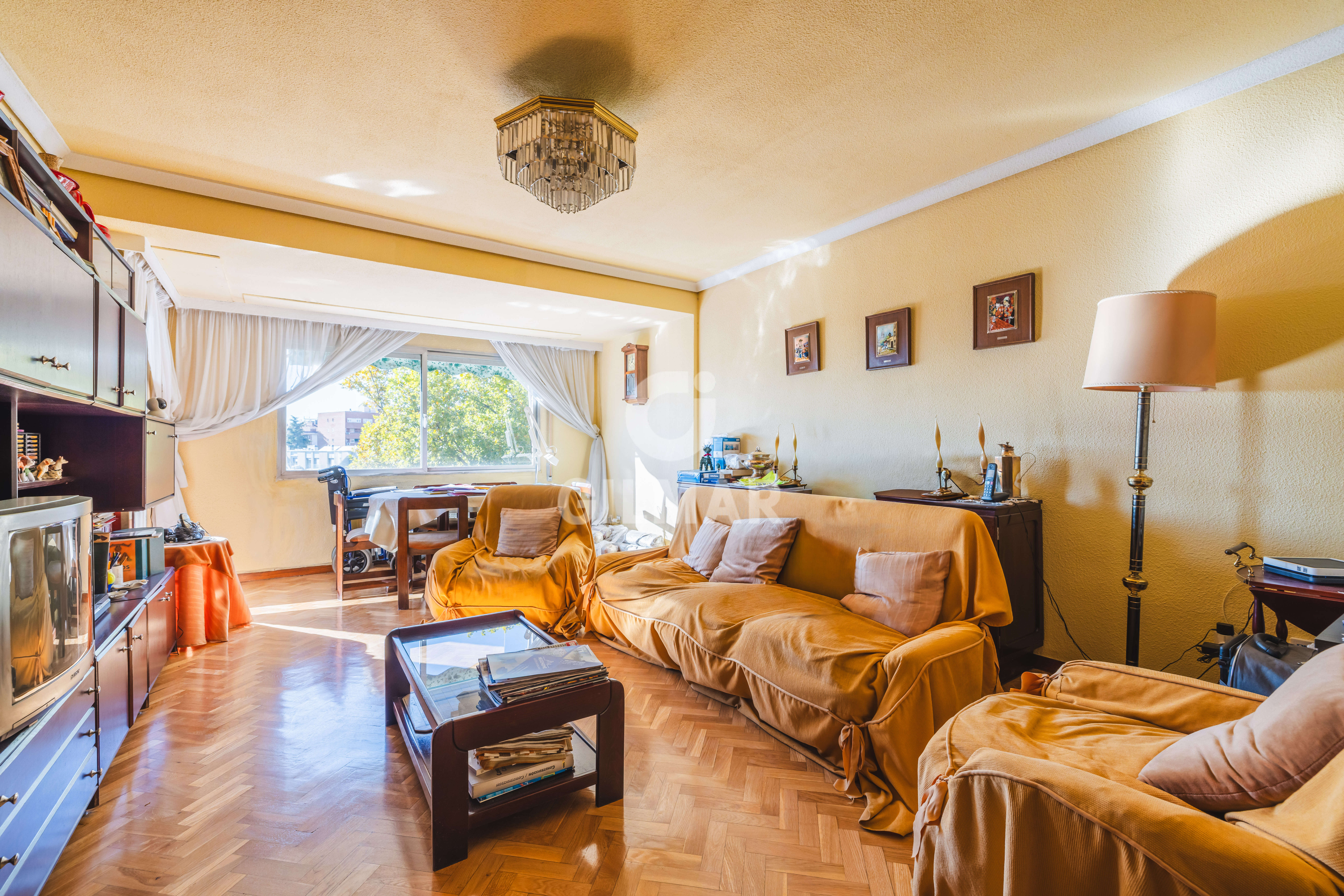 Photo of Apartment