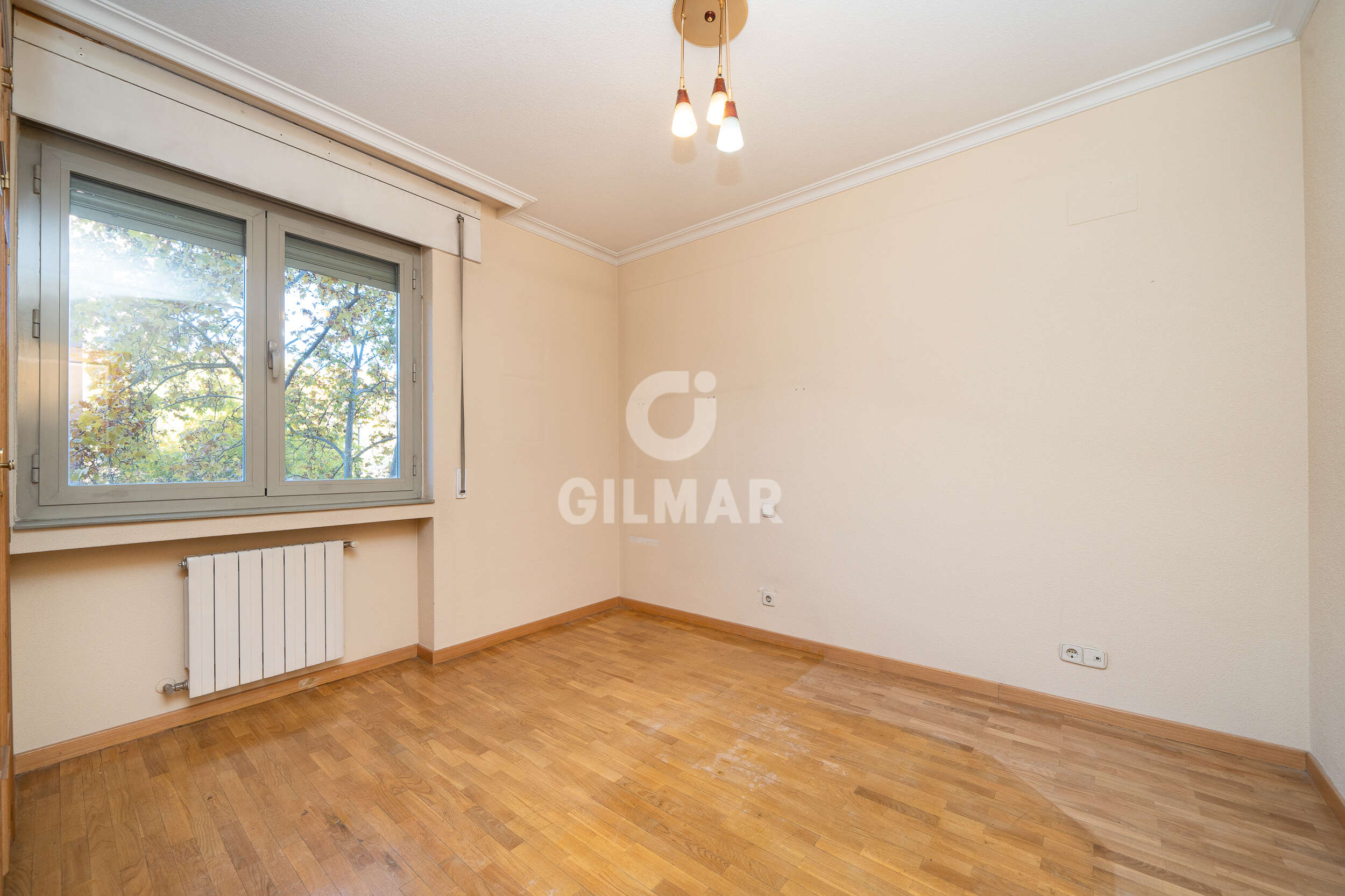 Photo of Apartment