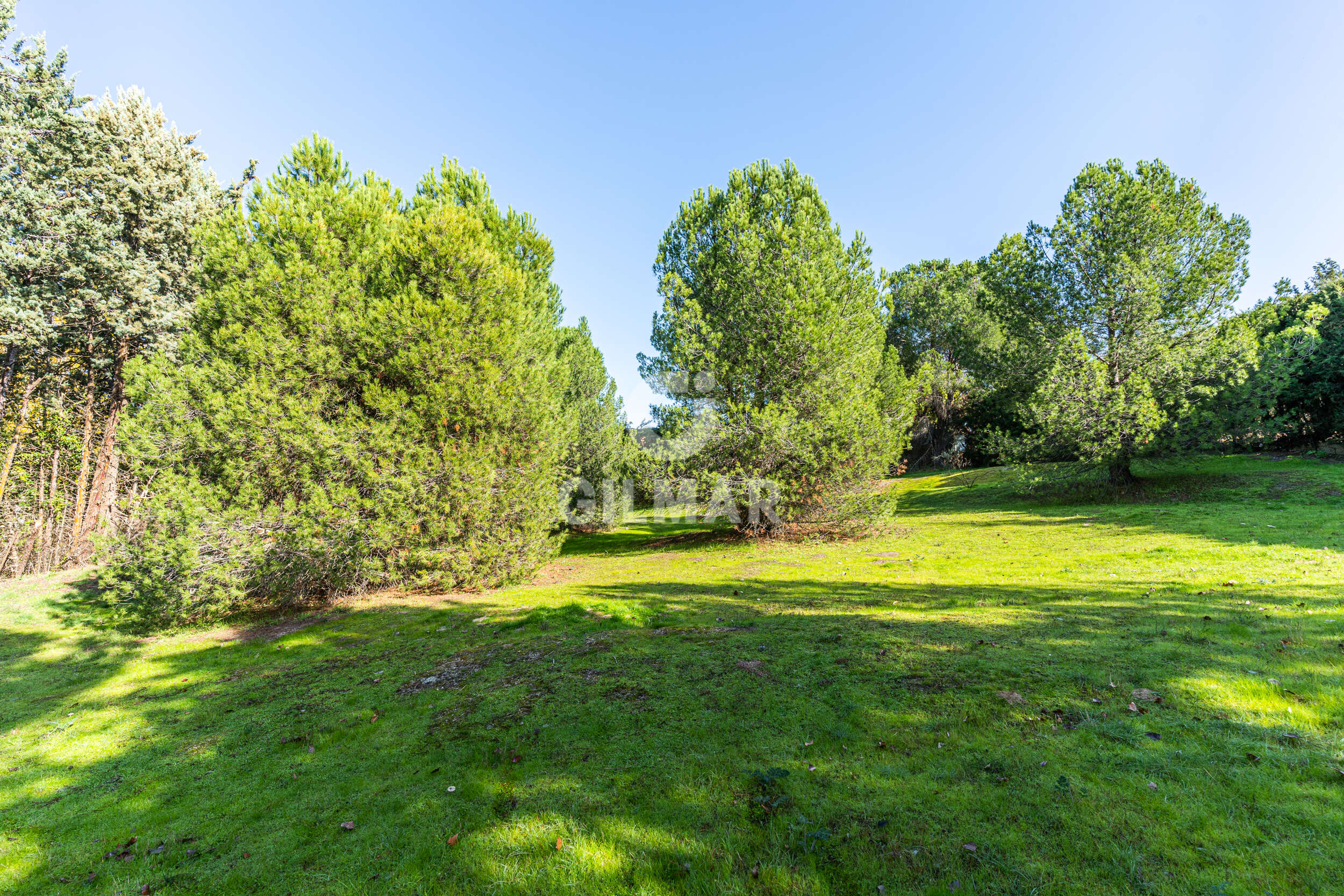 Photo of Villa