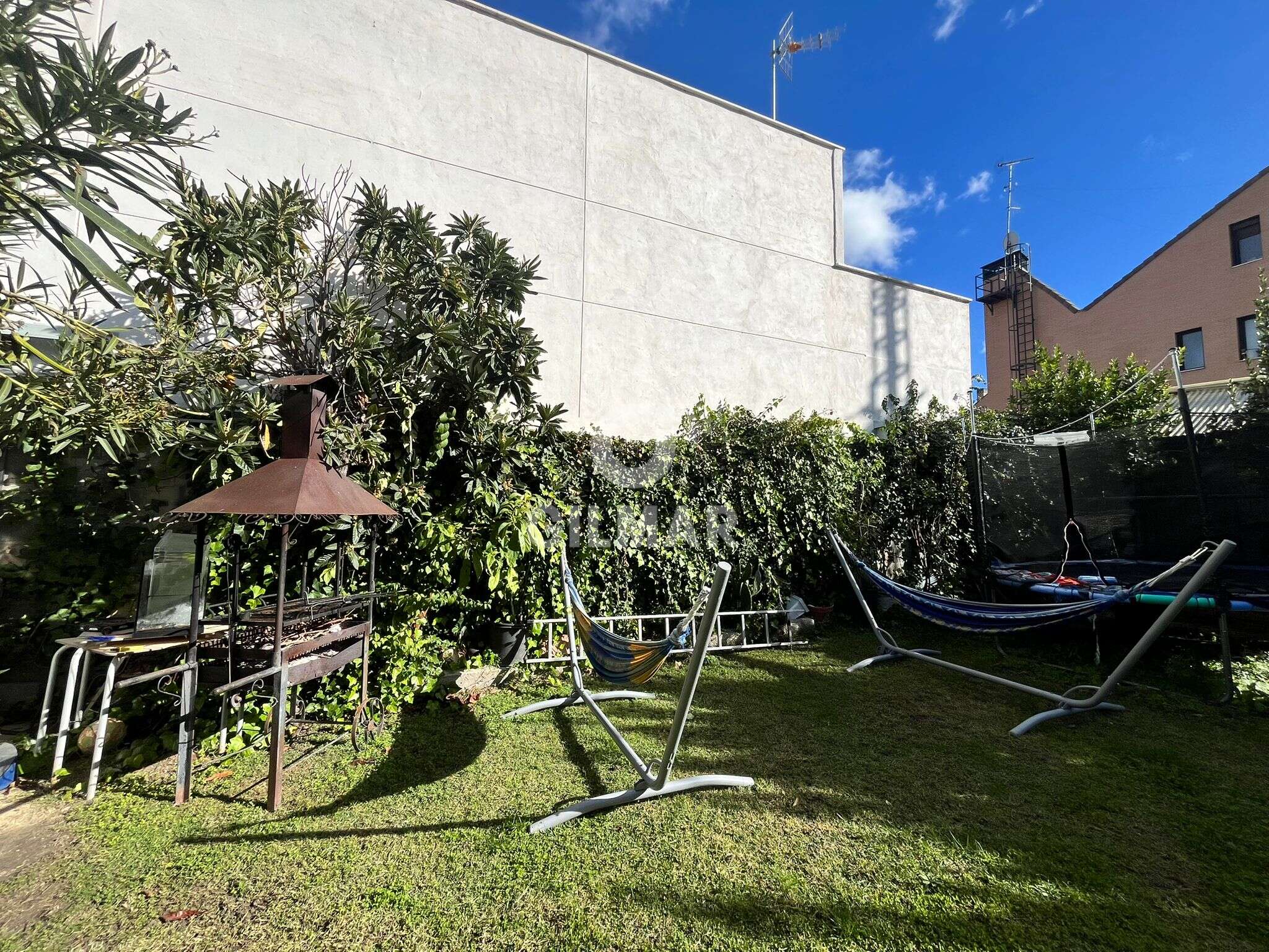 Photo of Urban plot