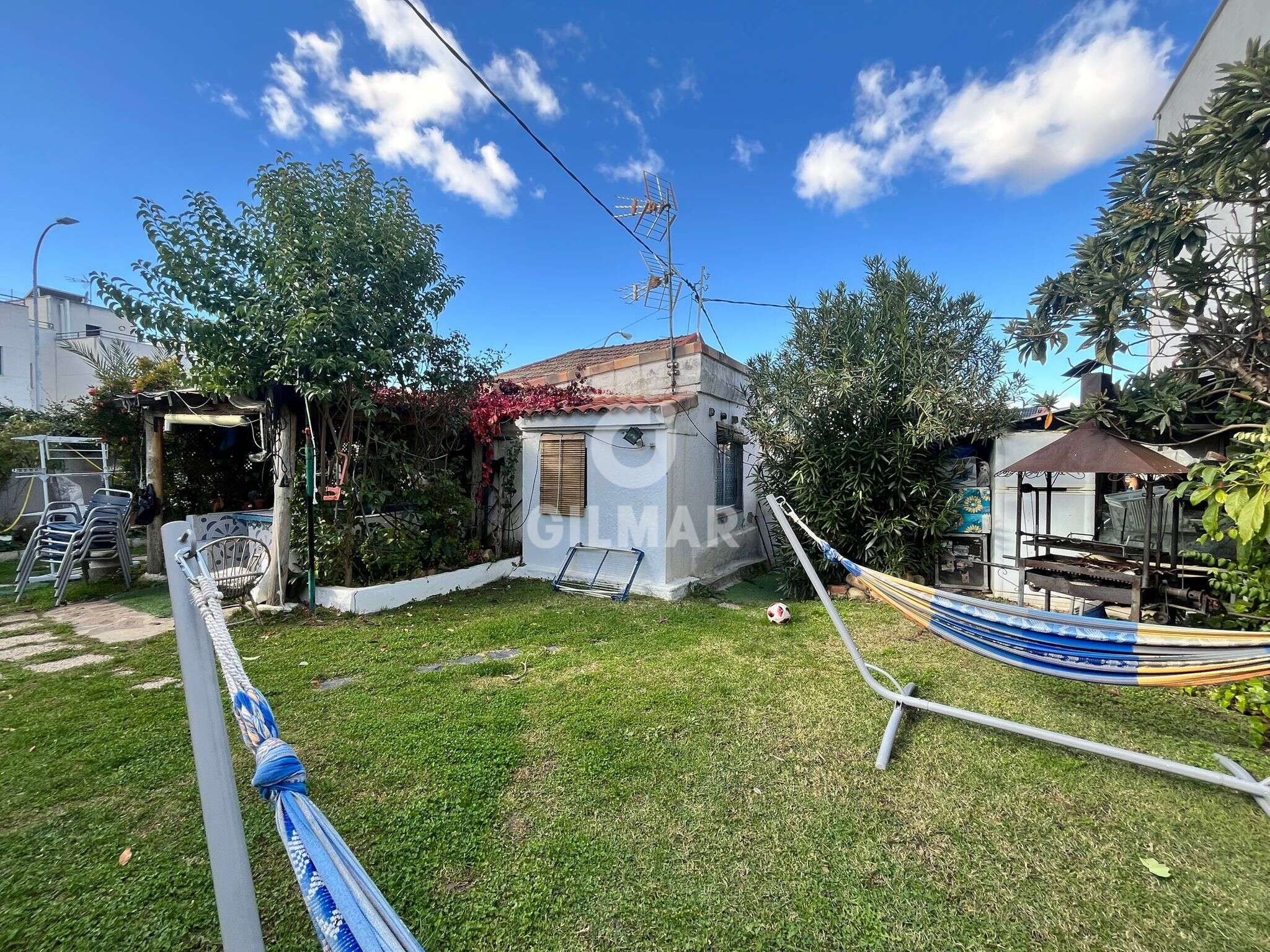 Photo of Urban plot