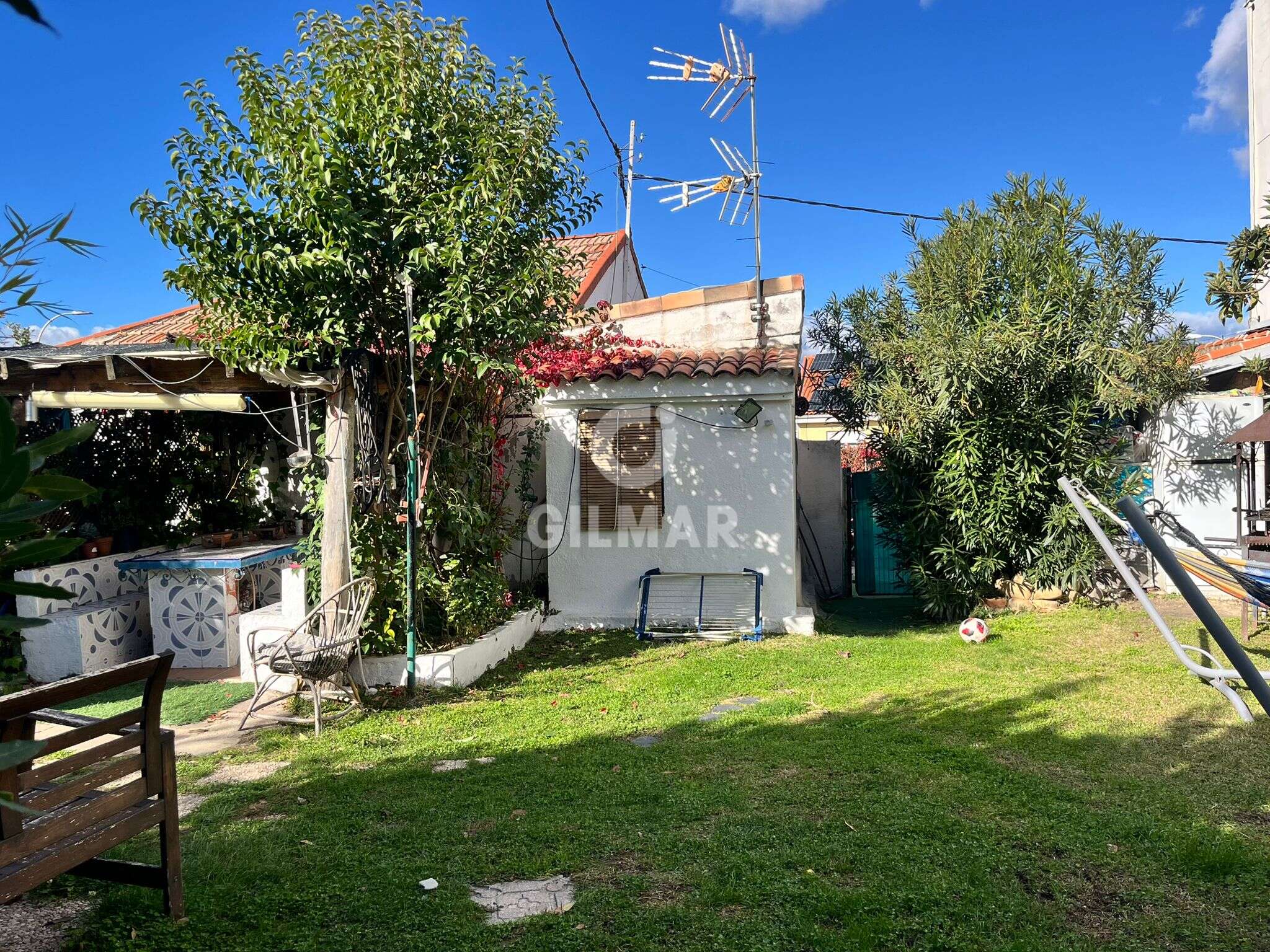 Photo of Urban plot