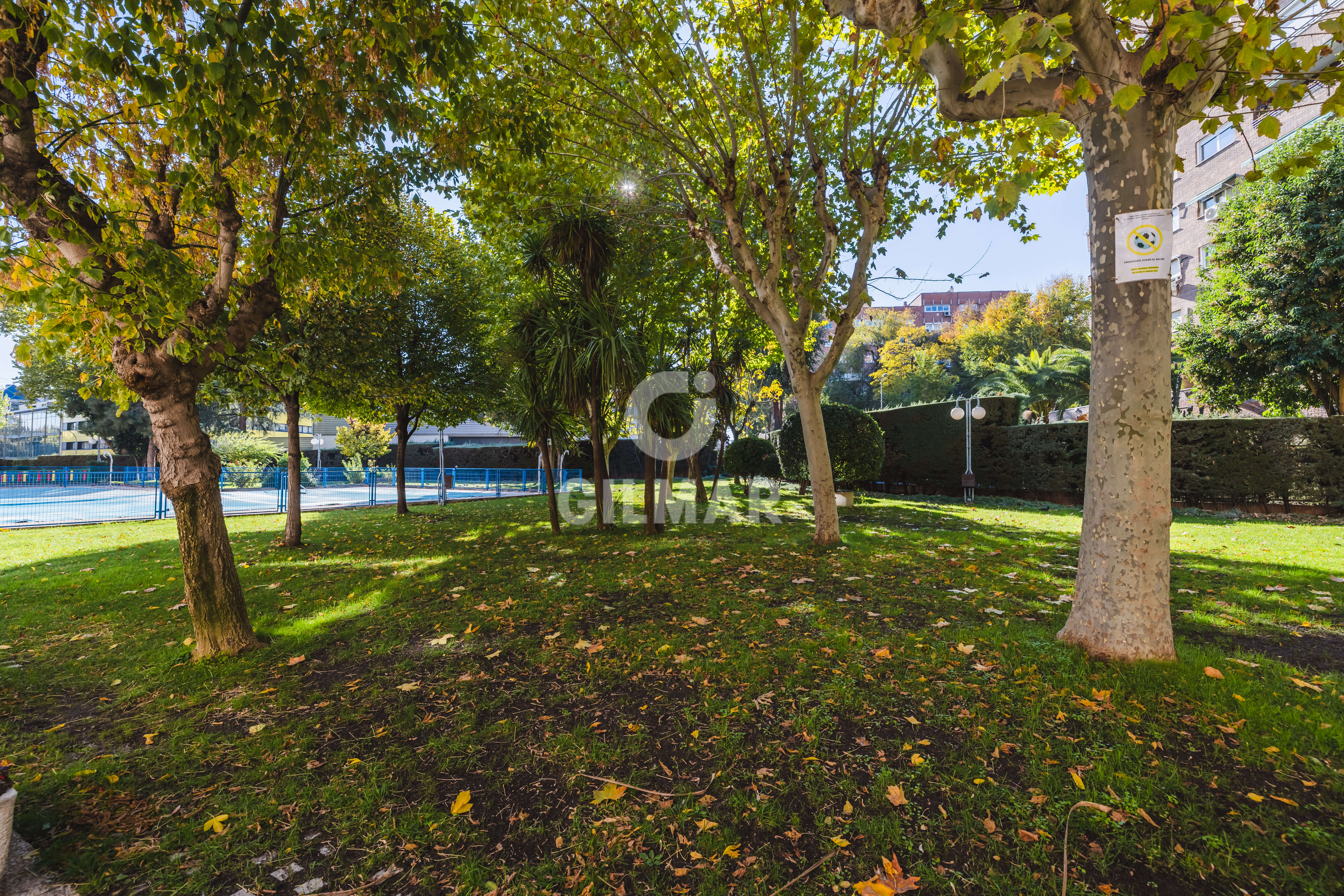 Photo of Apartment