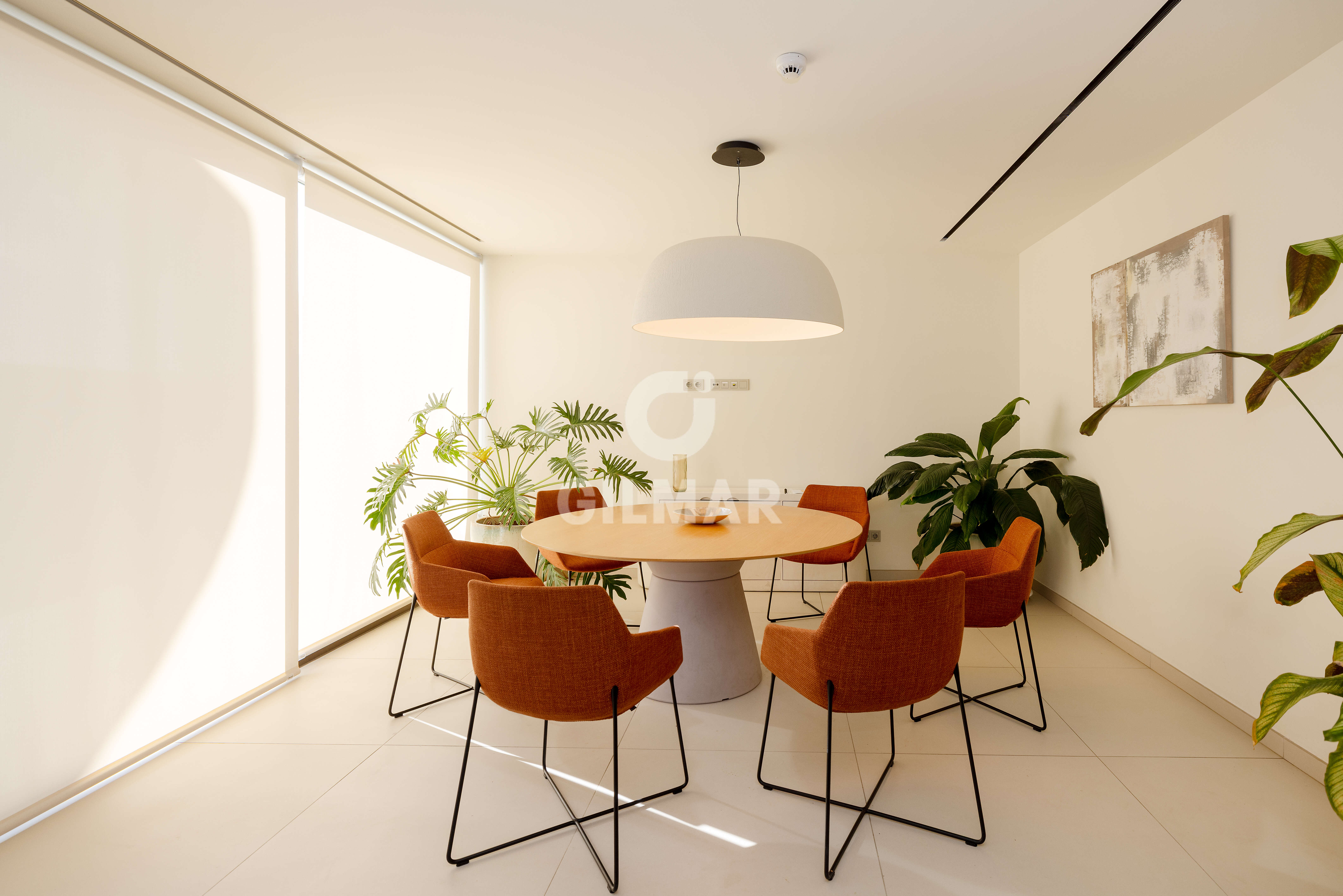 Photo of Apartment