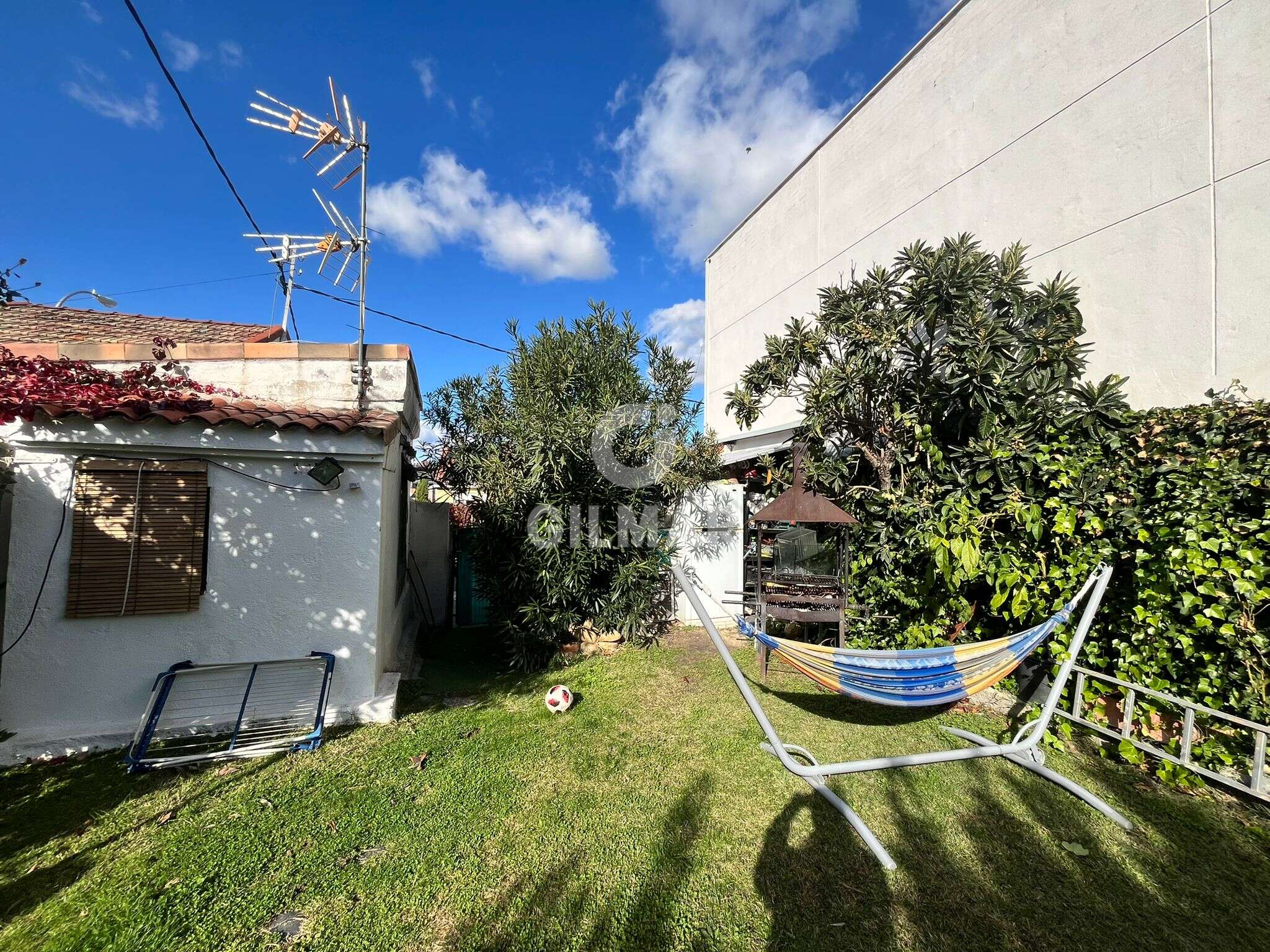 Photo of Urban plot
