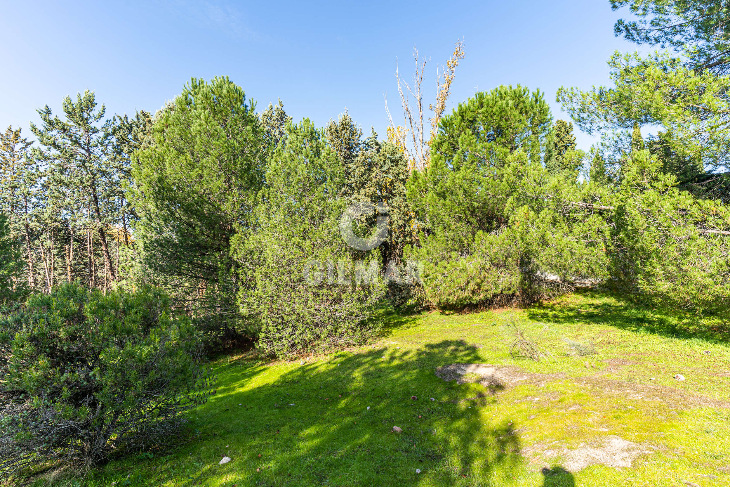 Photo of Villa
