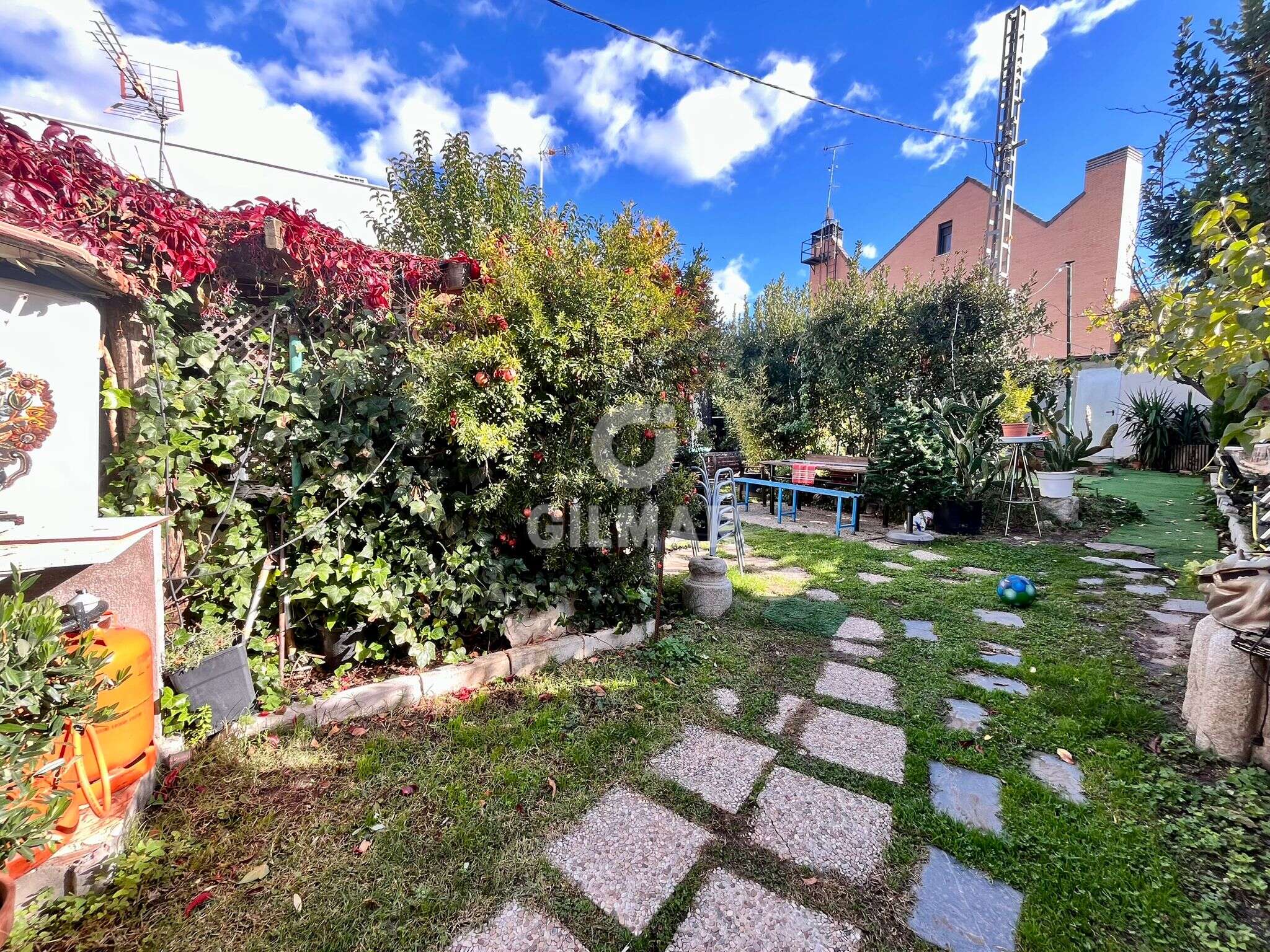 Photo of Urban plot