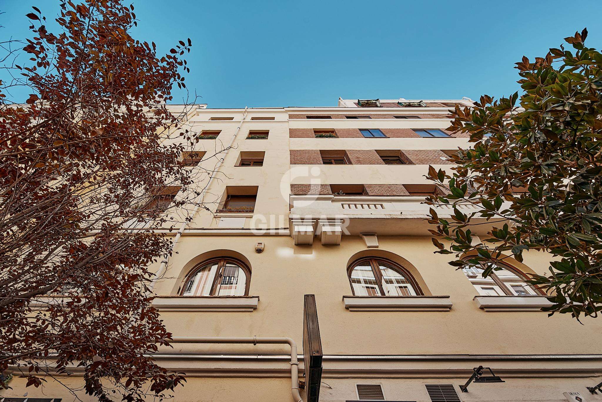 acp galery