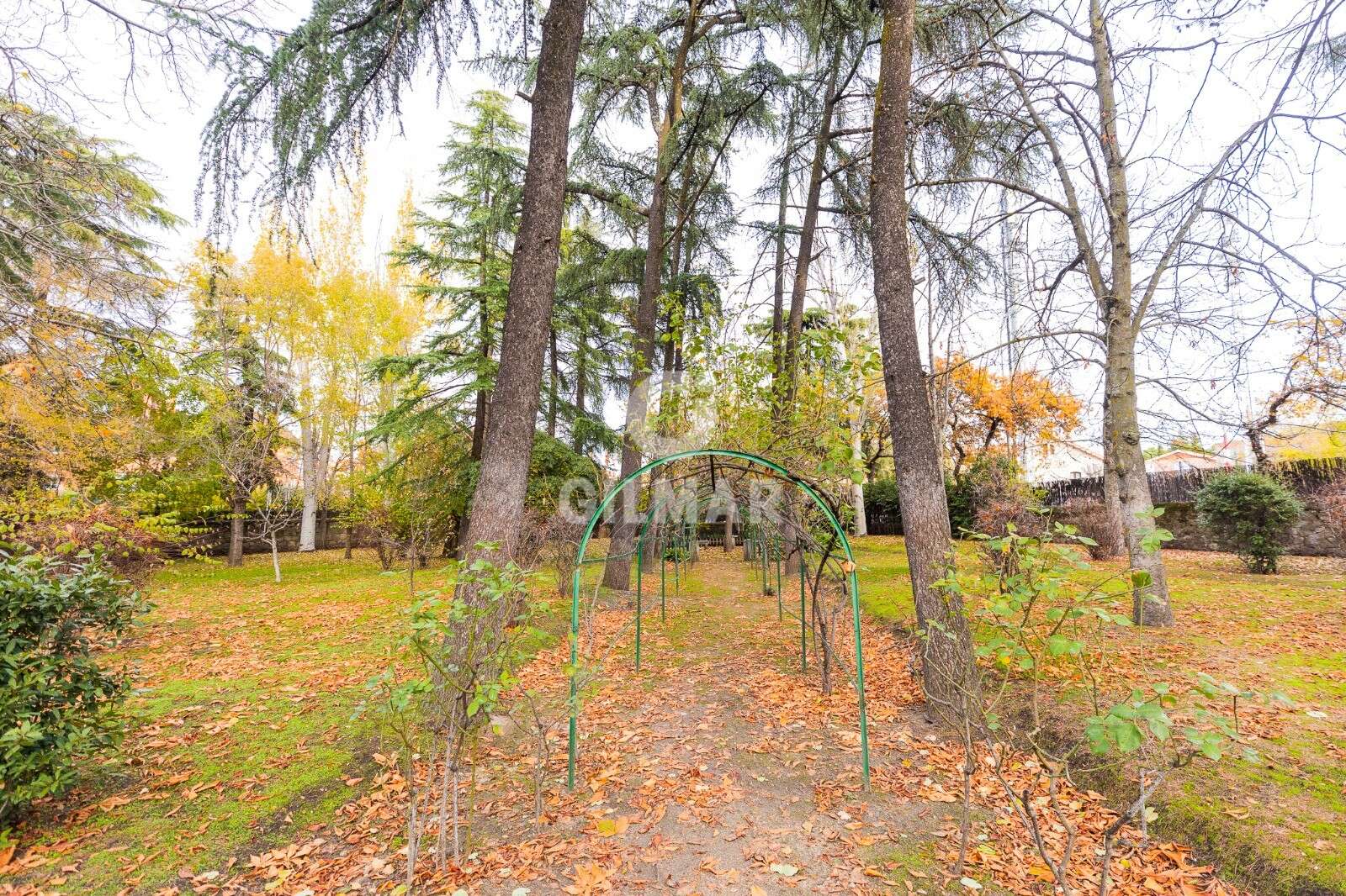 acp galery