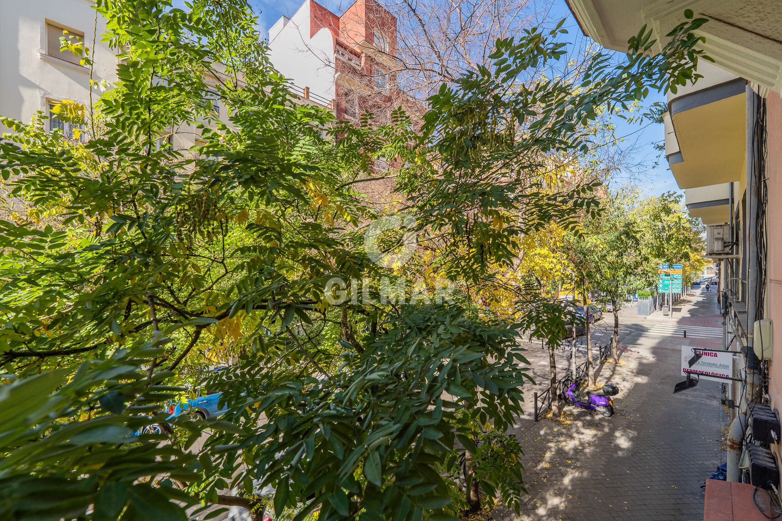 Photo of Apartment