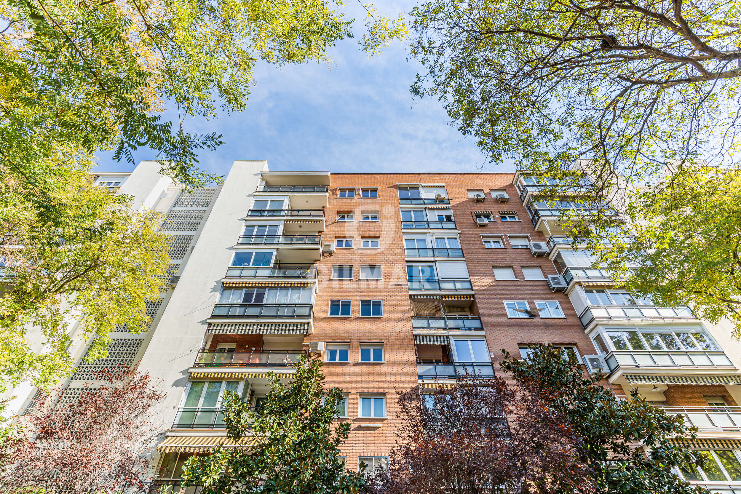 Photo of Apartment