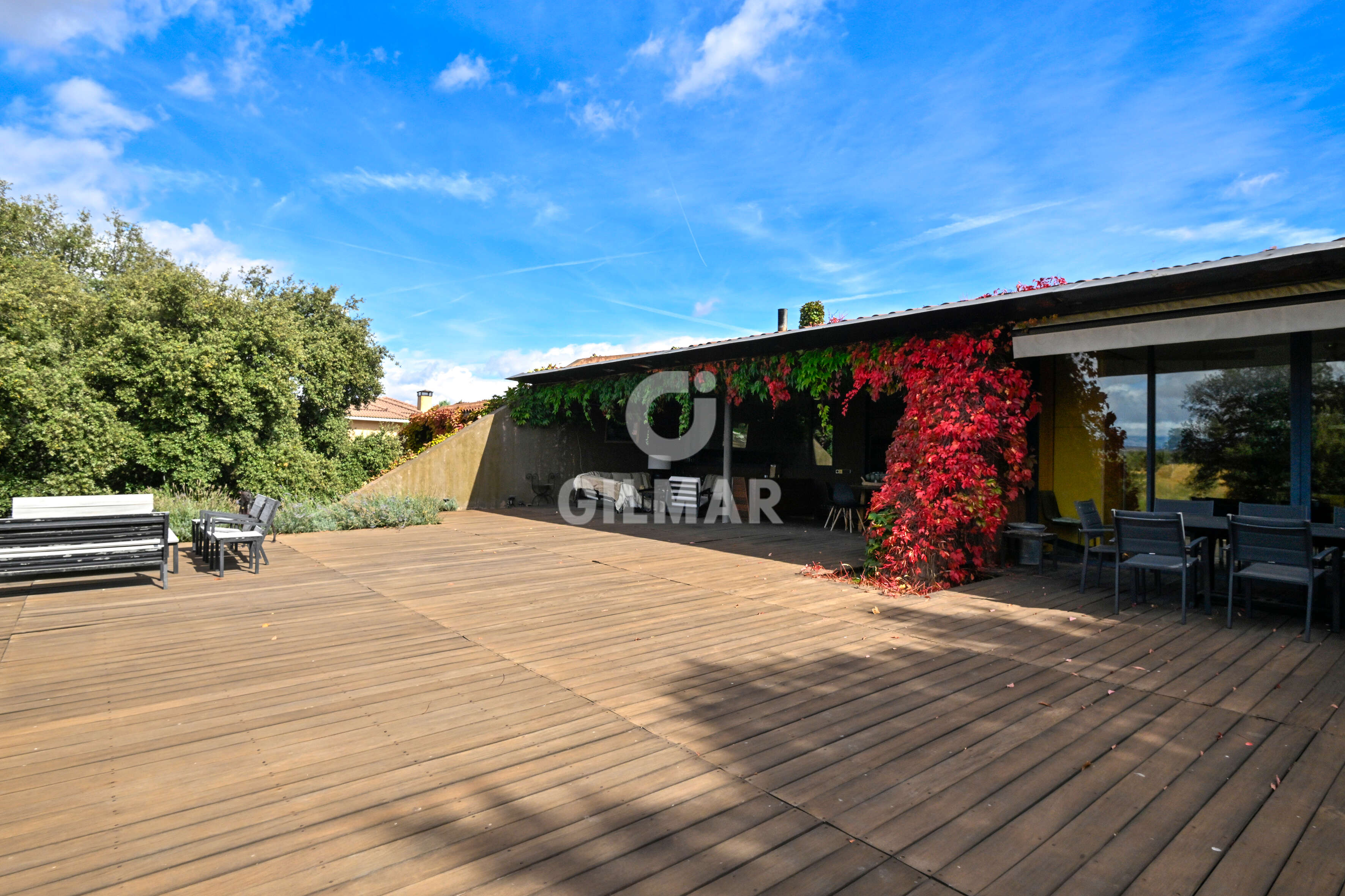 acp galery