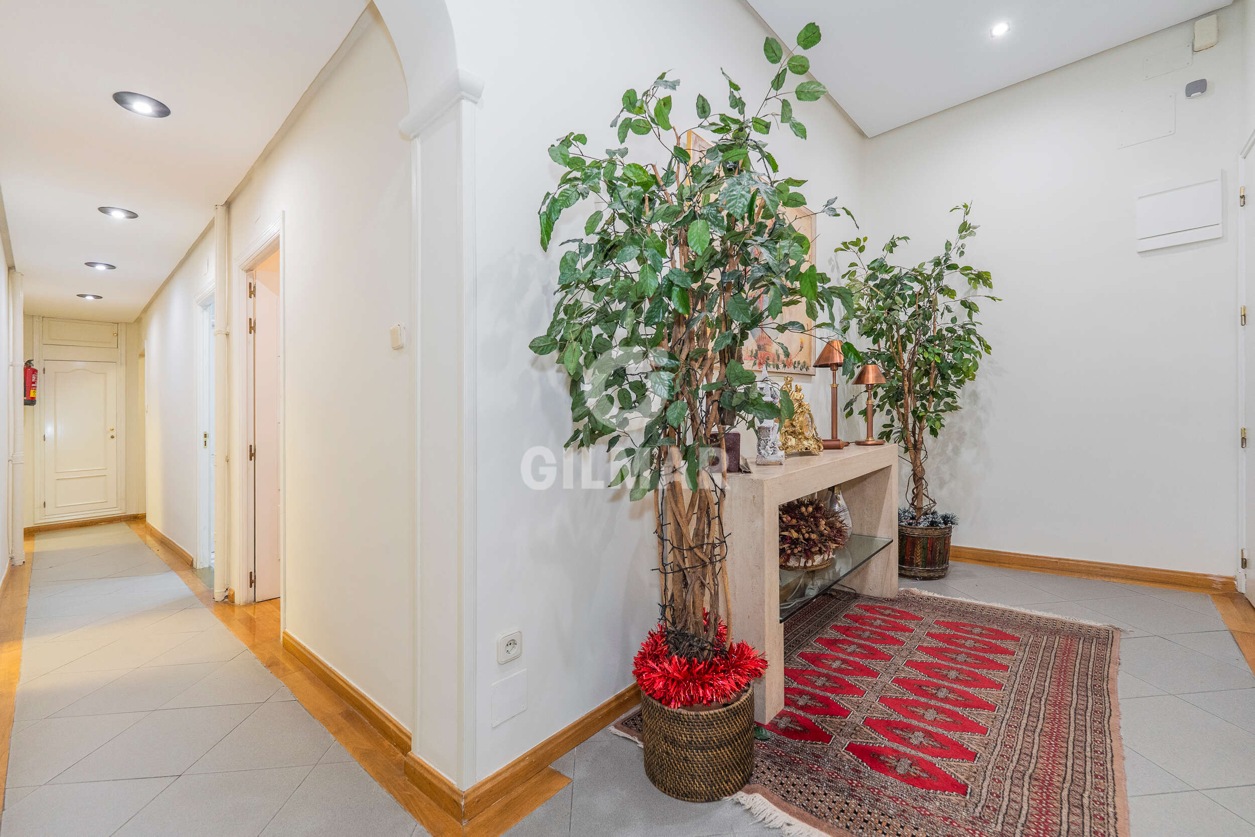 Photo of Apartment