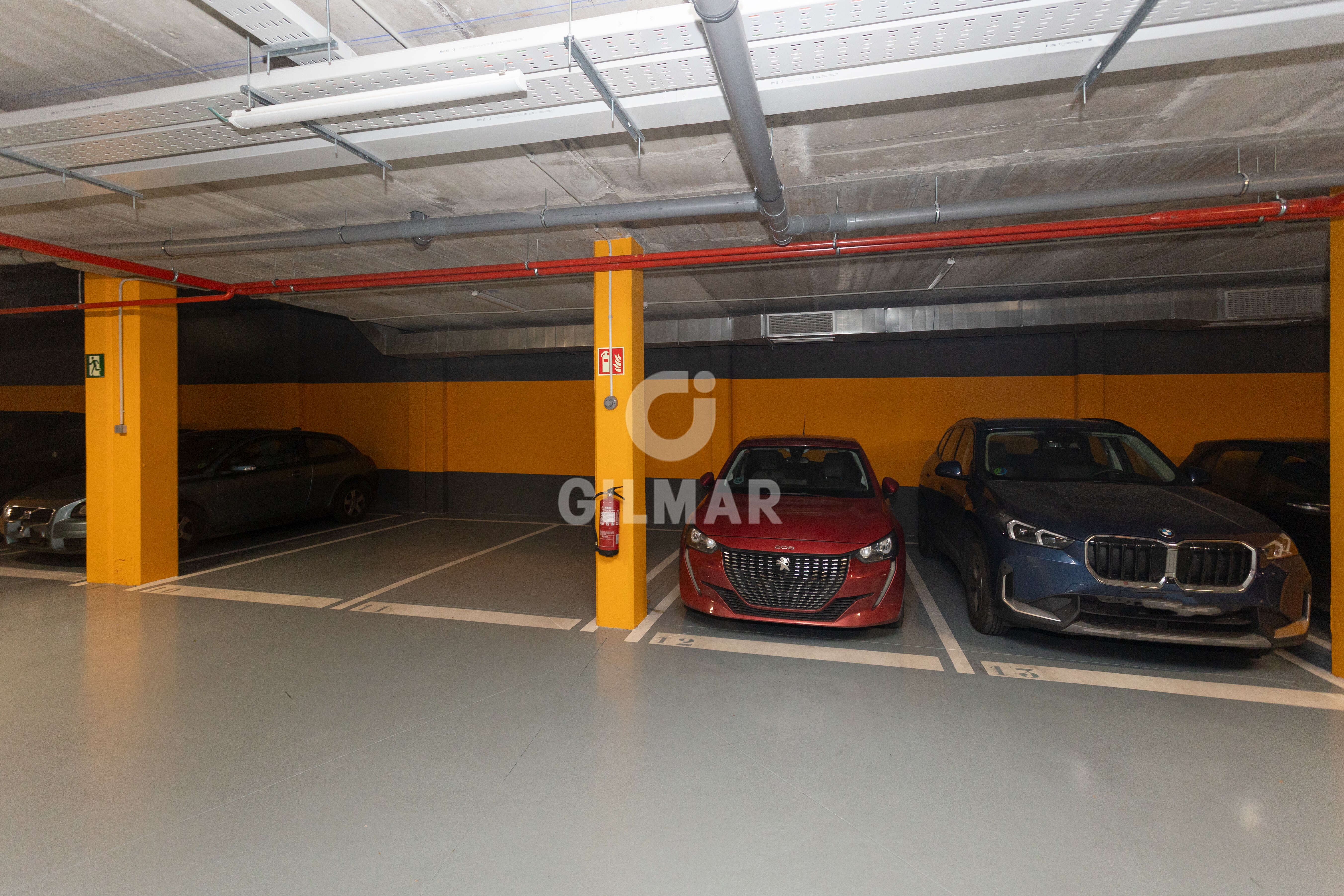 acp galery
