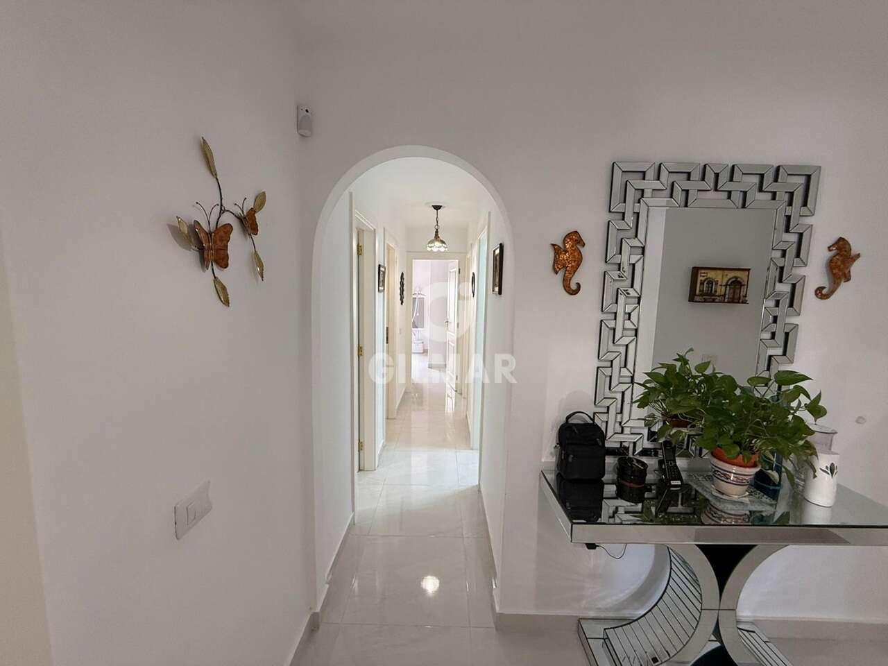 acp galery