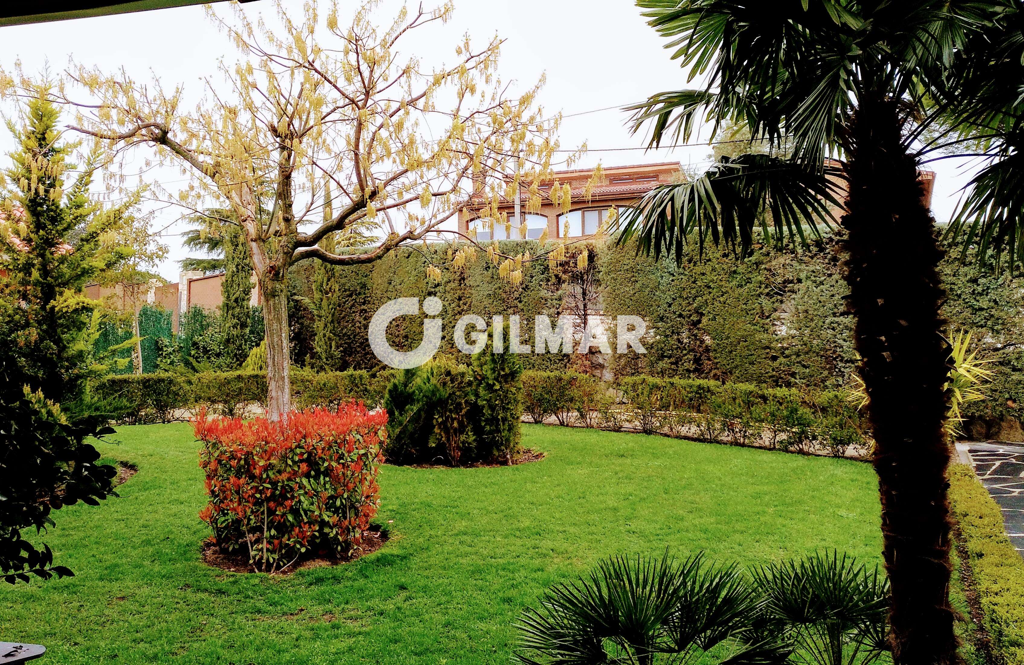 acp galery