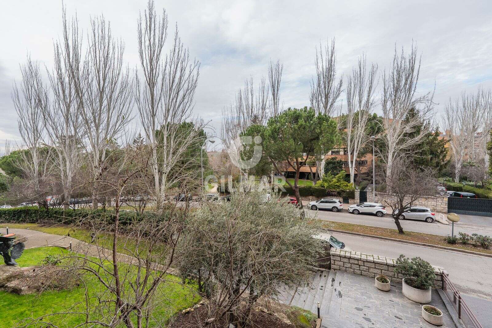 Photo of Apartment