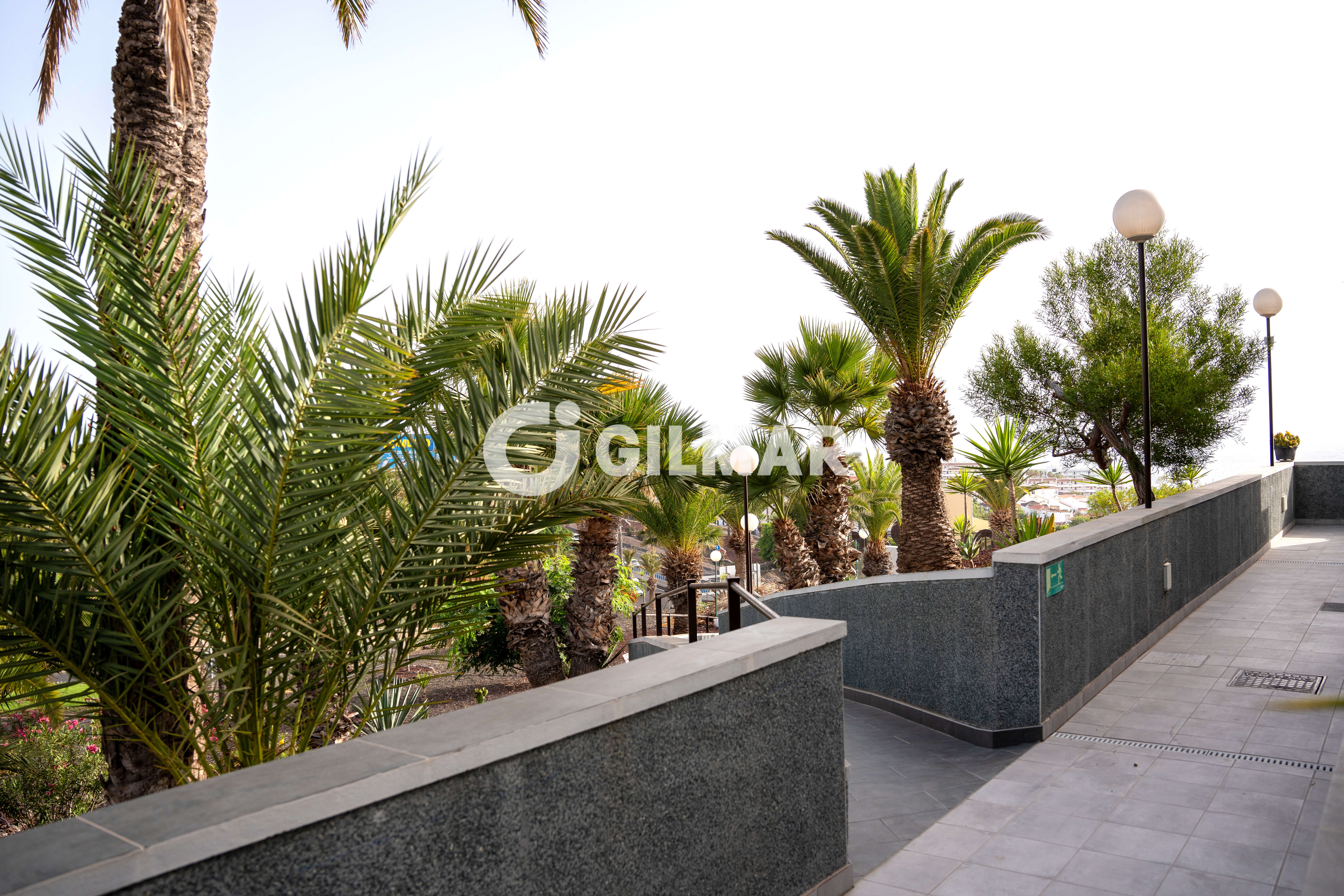 acp galery