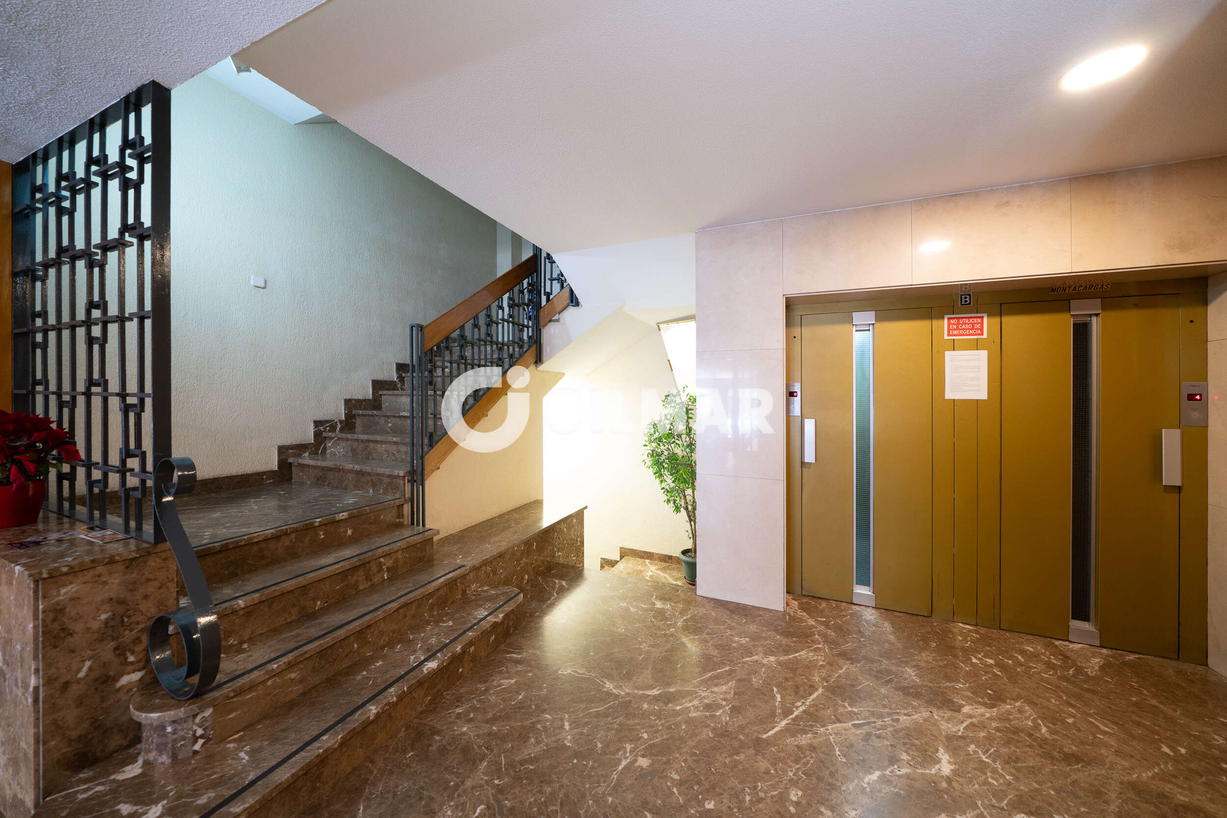 Photo of Apartment