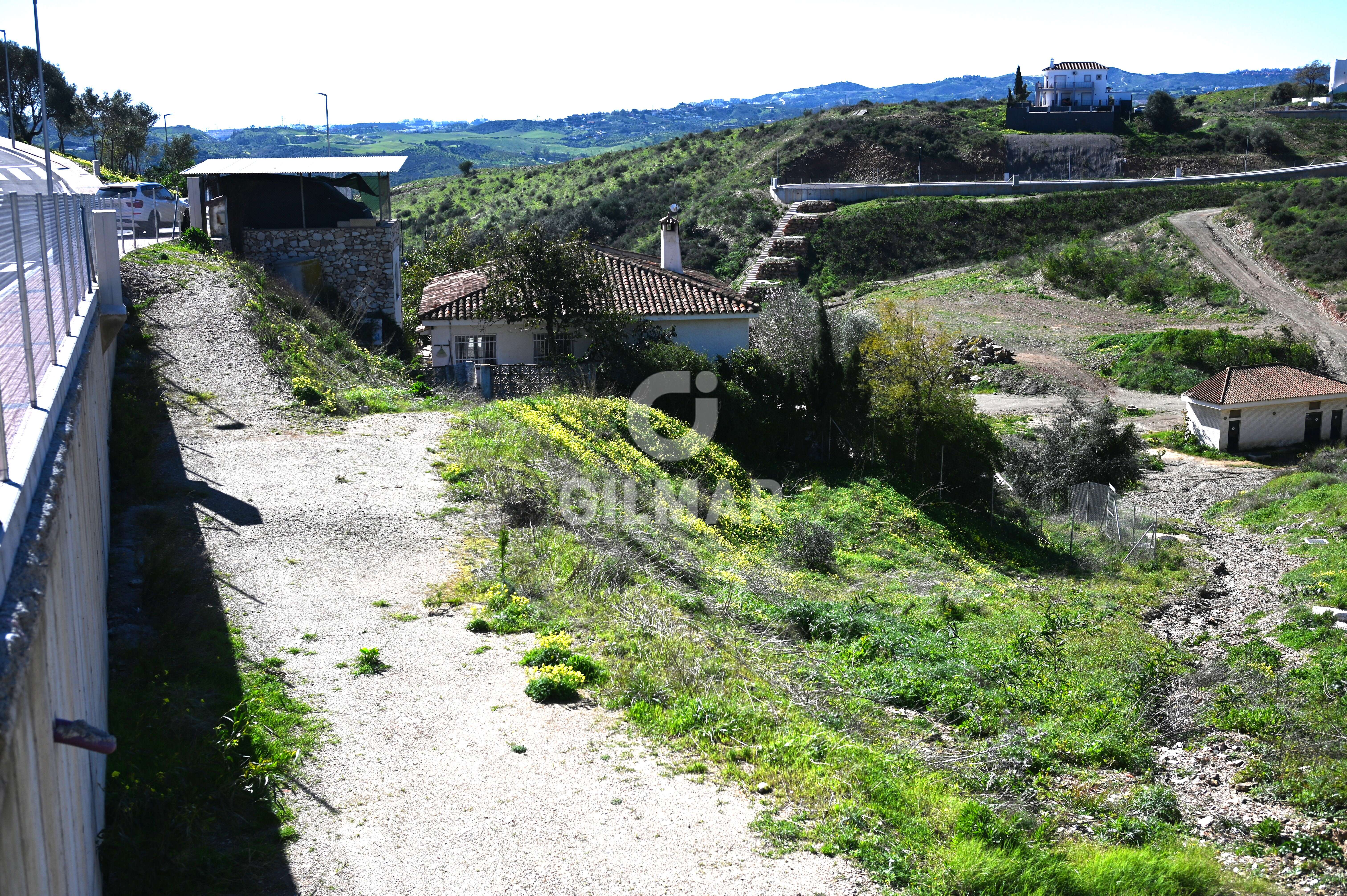 Photo of Urban plot