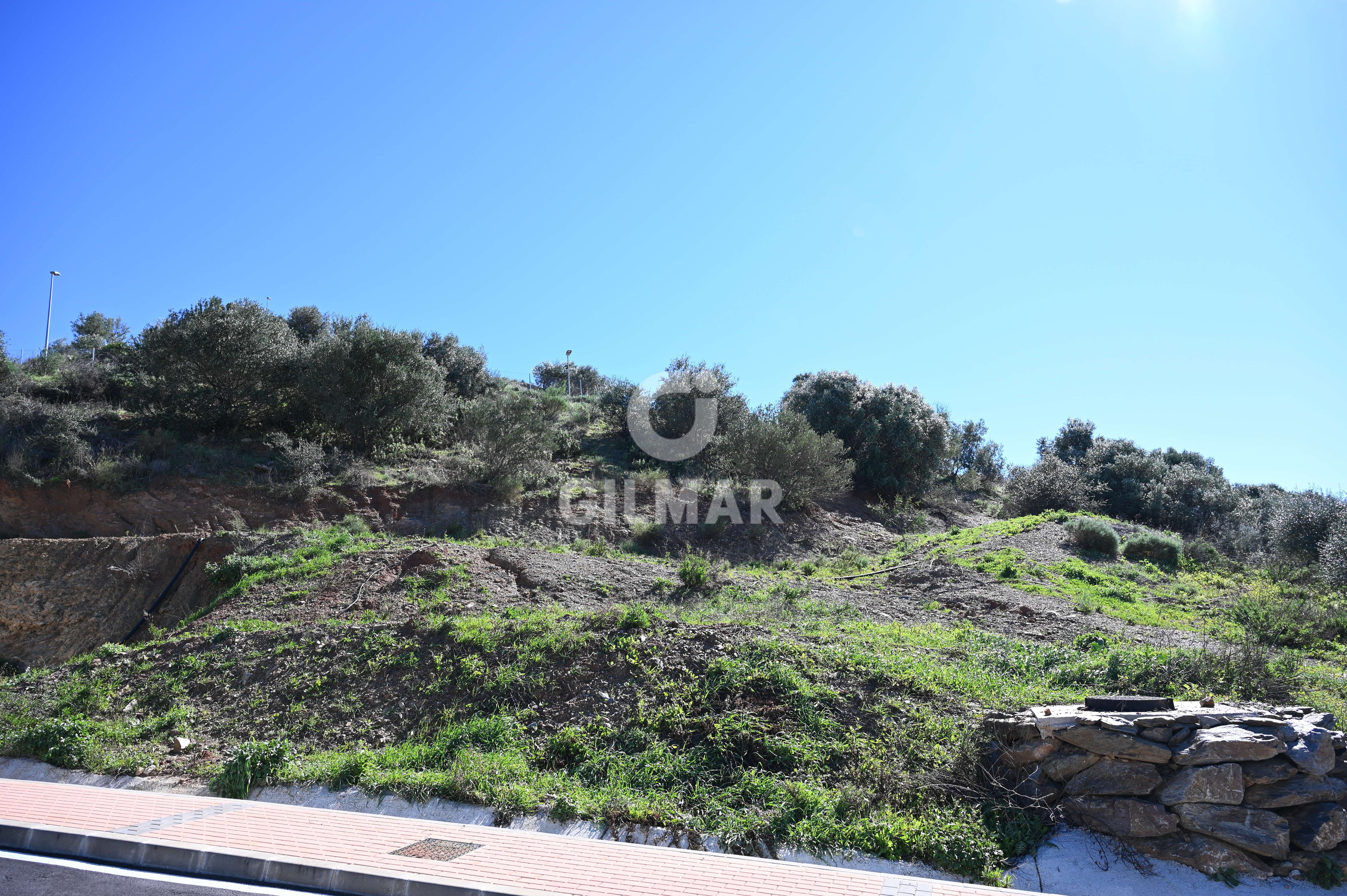 Photo of Urban plot