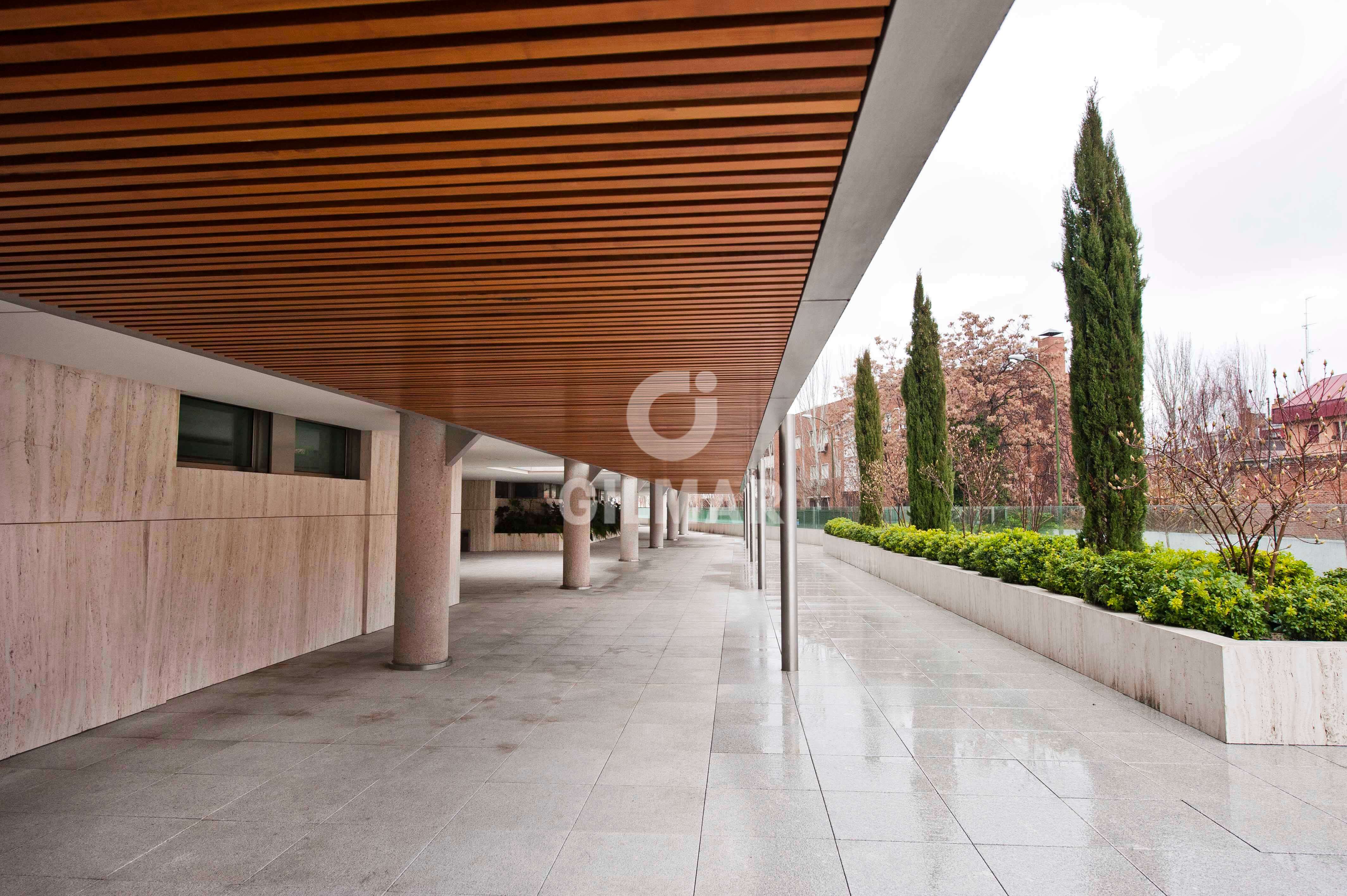 acp galery