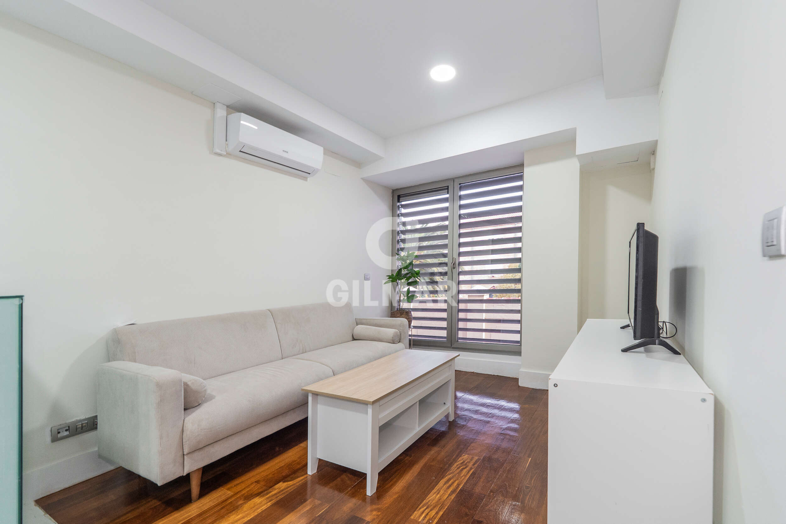 acp galery