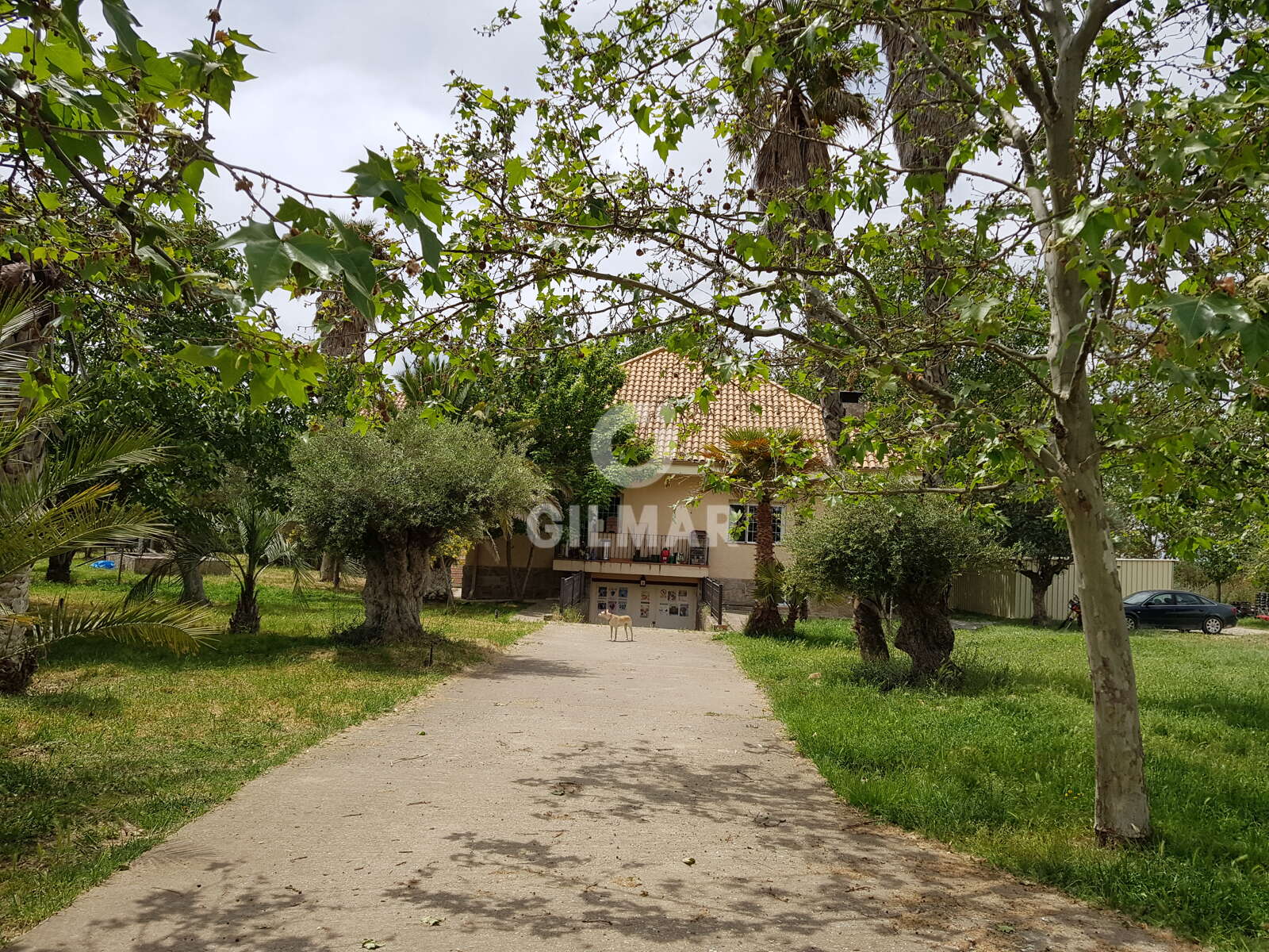 Property slider Gilmar