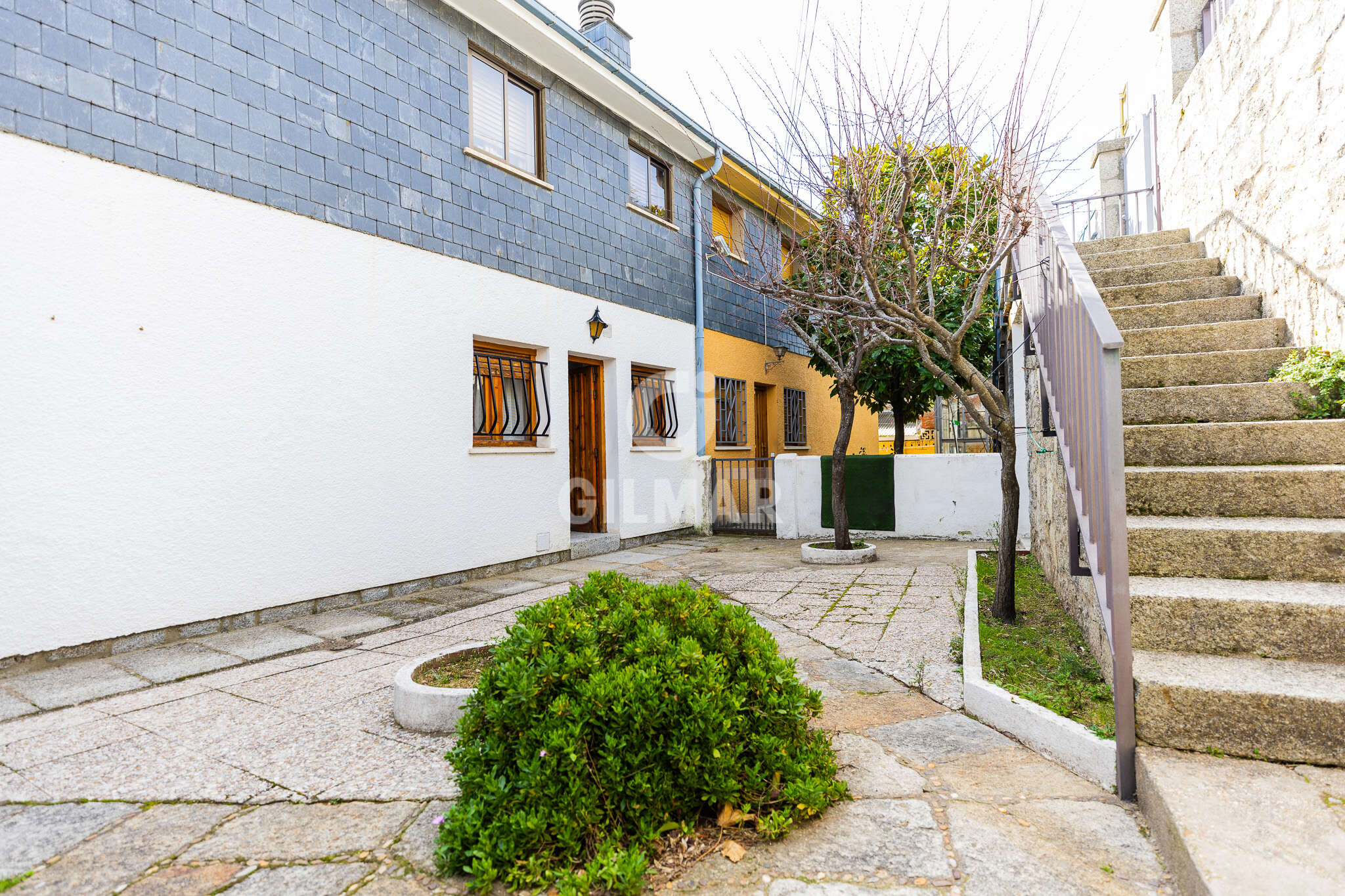 acp galery