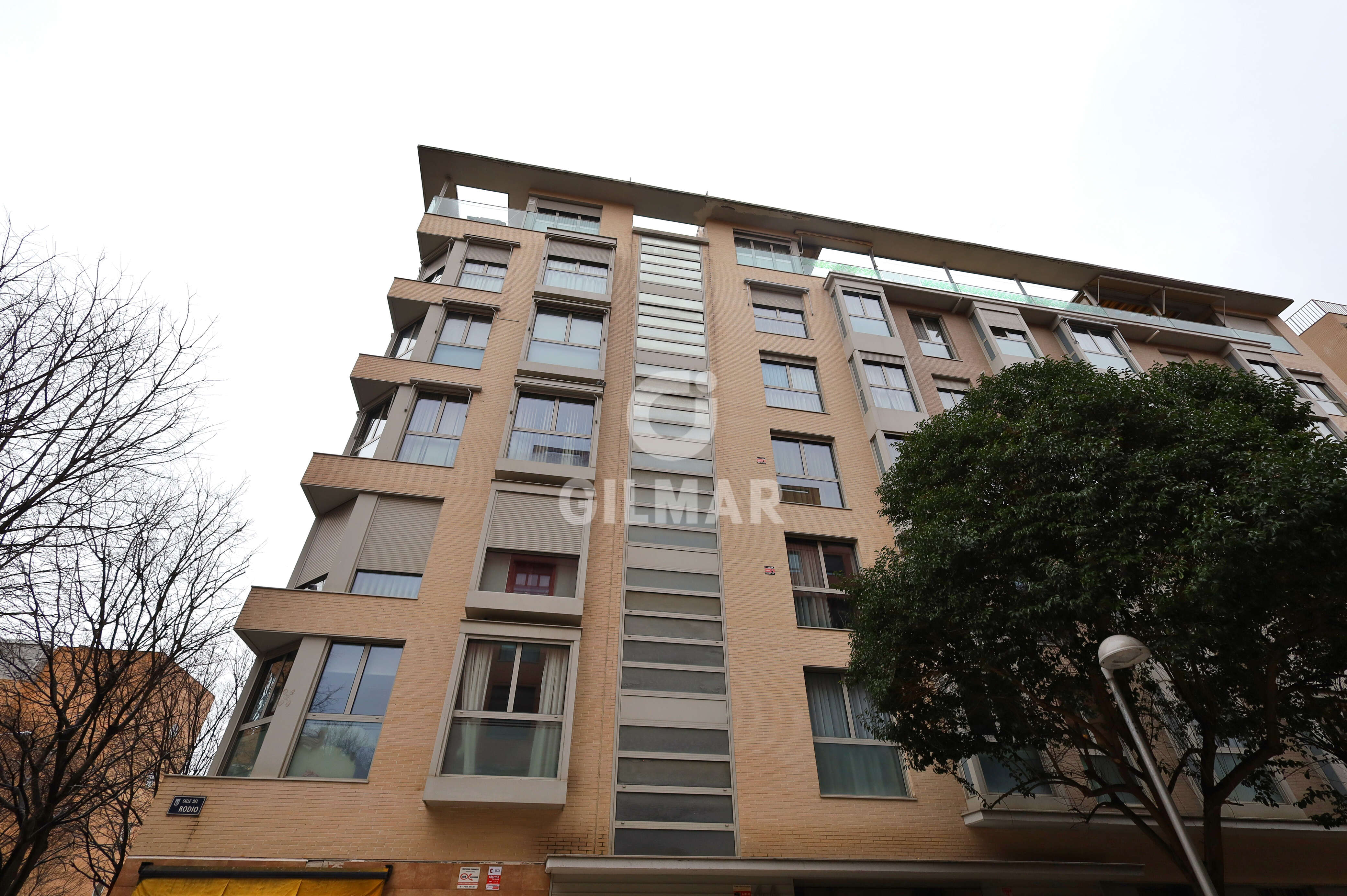 acp galery