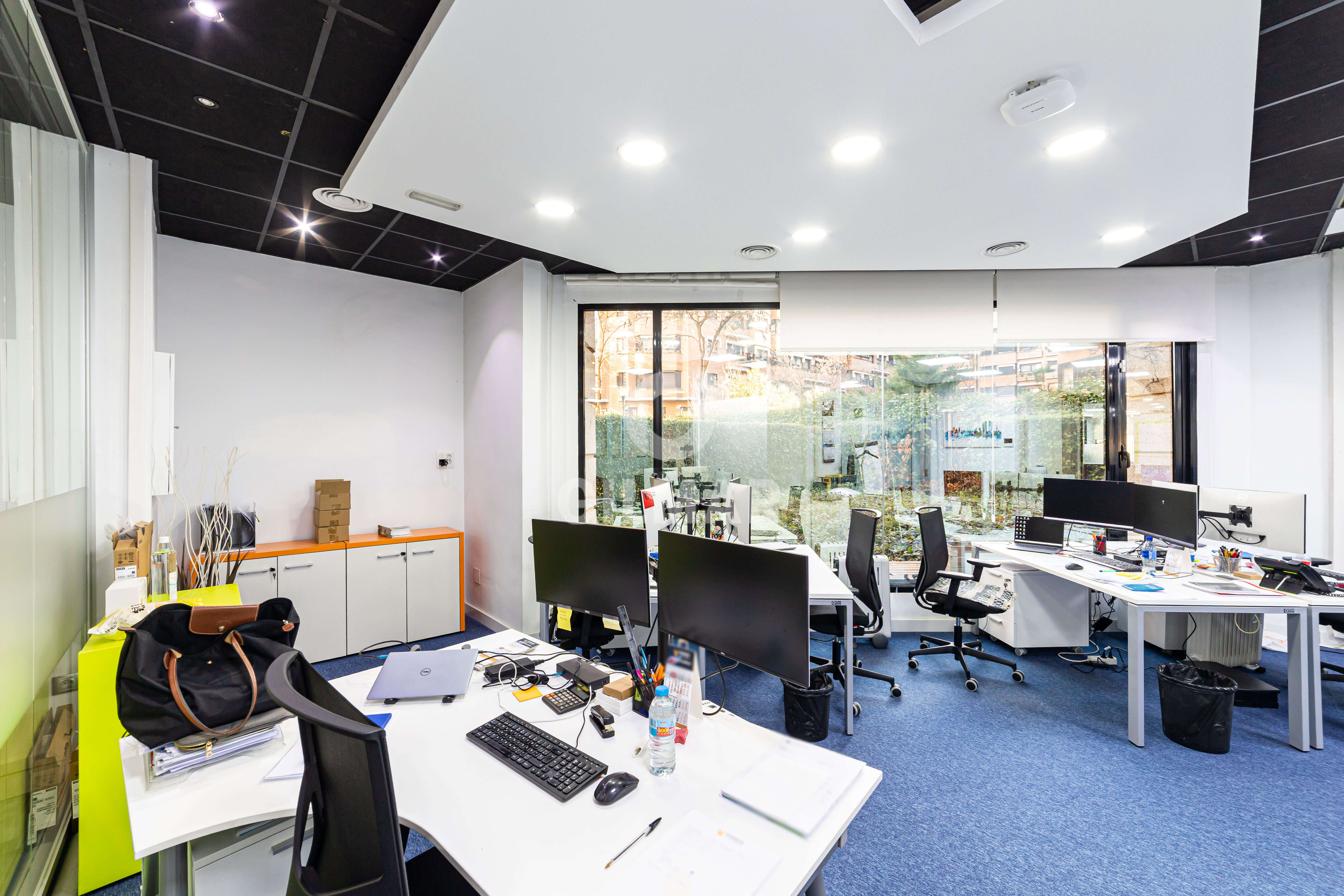 acp galery