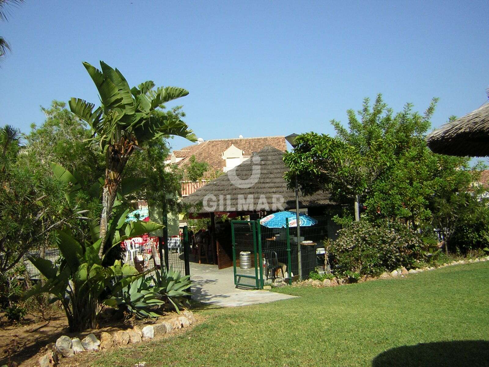acp galery
