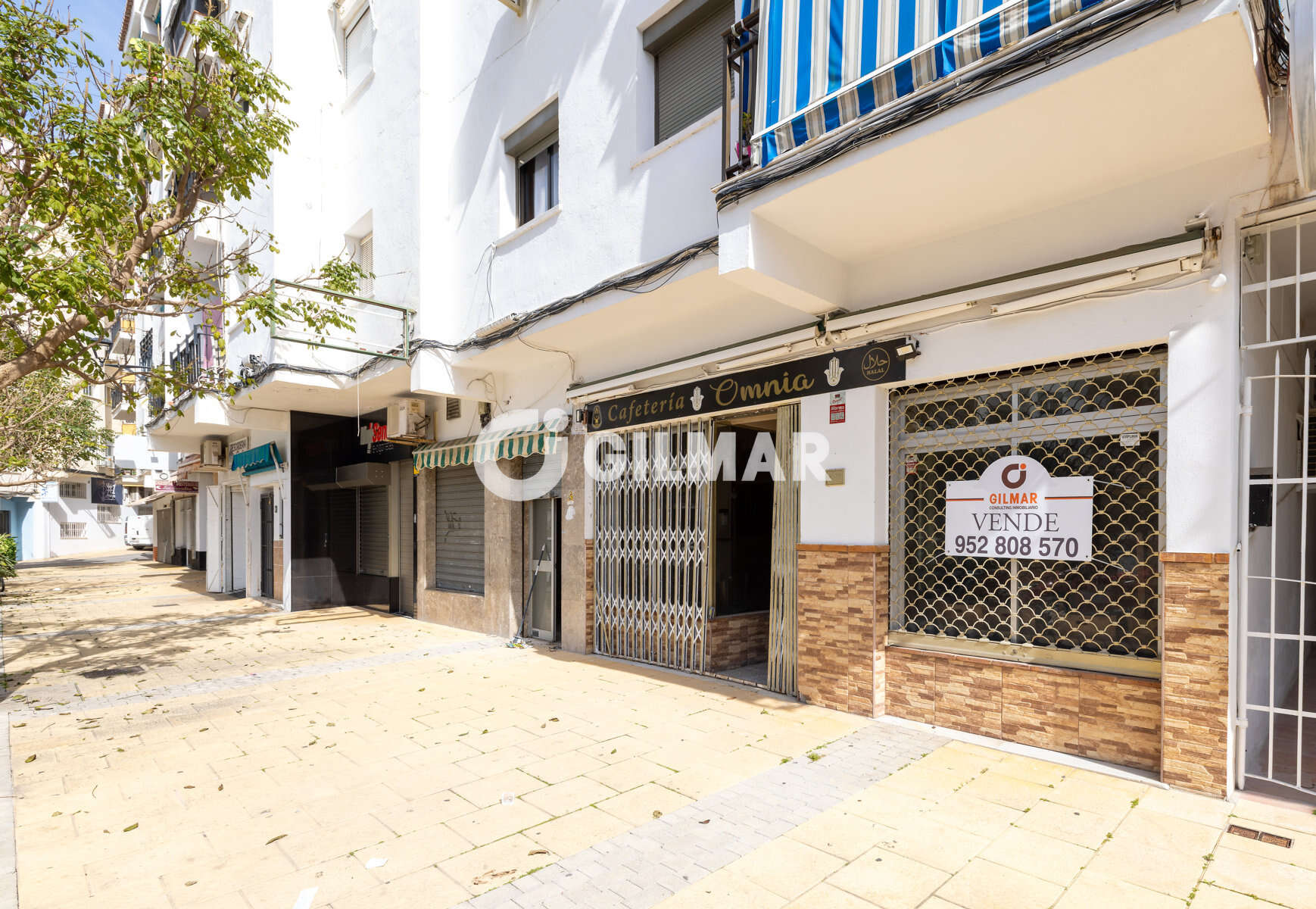 acp galery