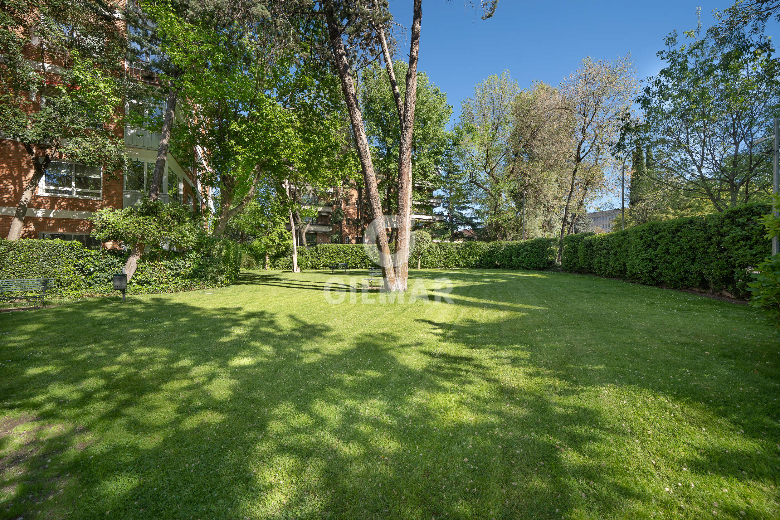 Photo of Apartment