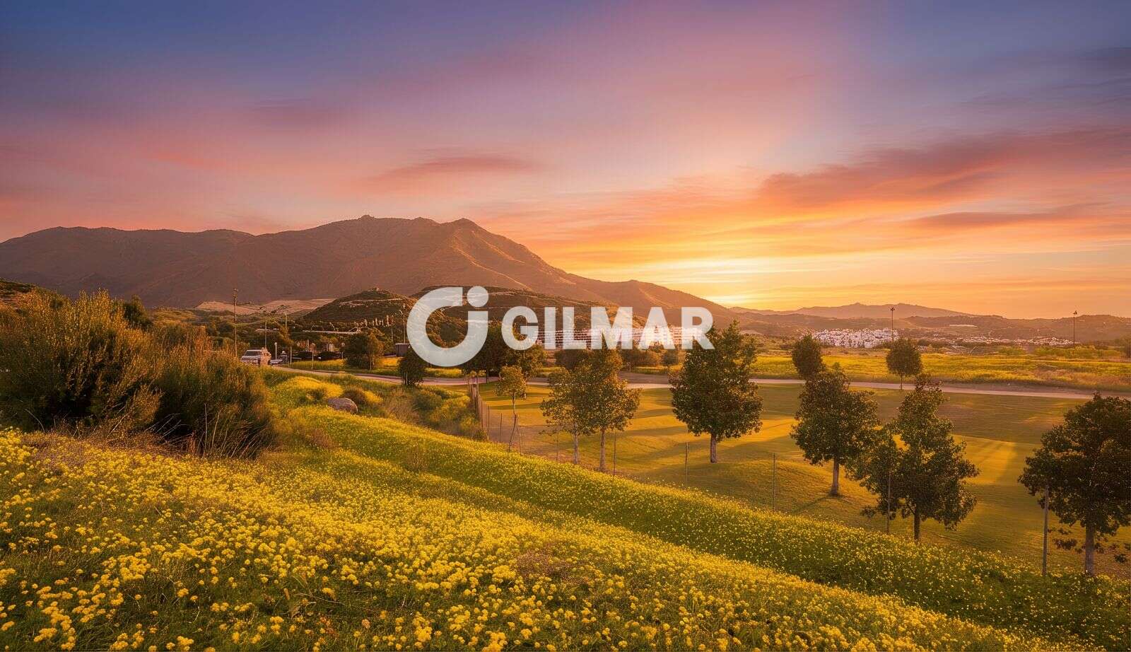 Photo of Villa